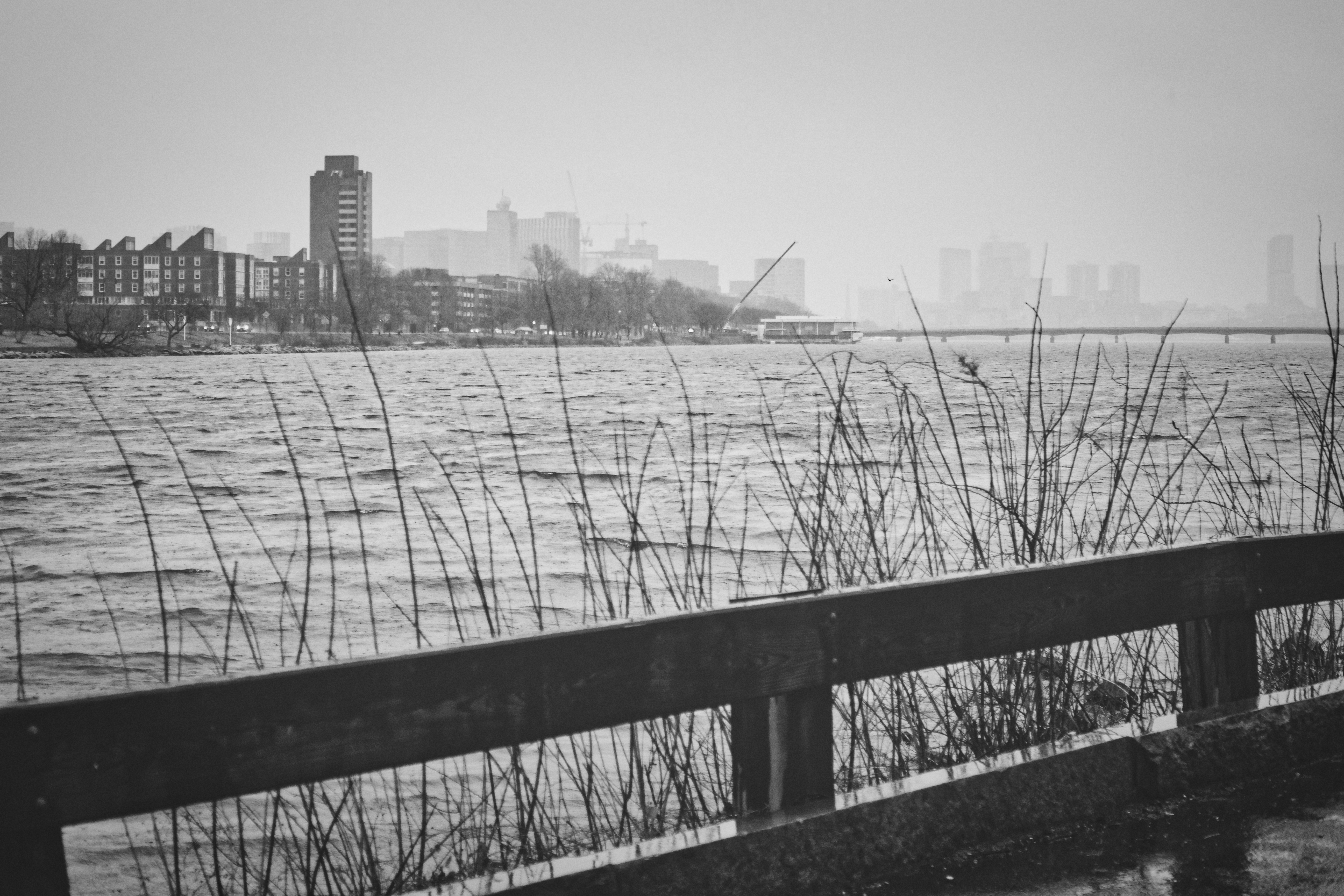 Boston photography