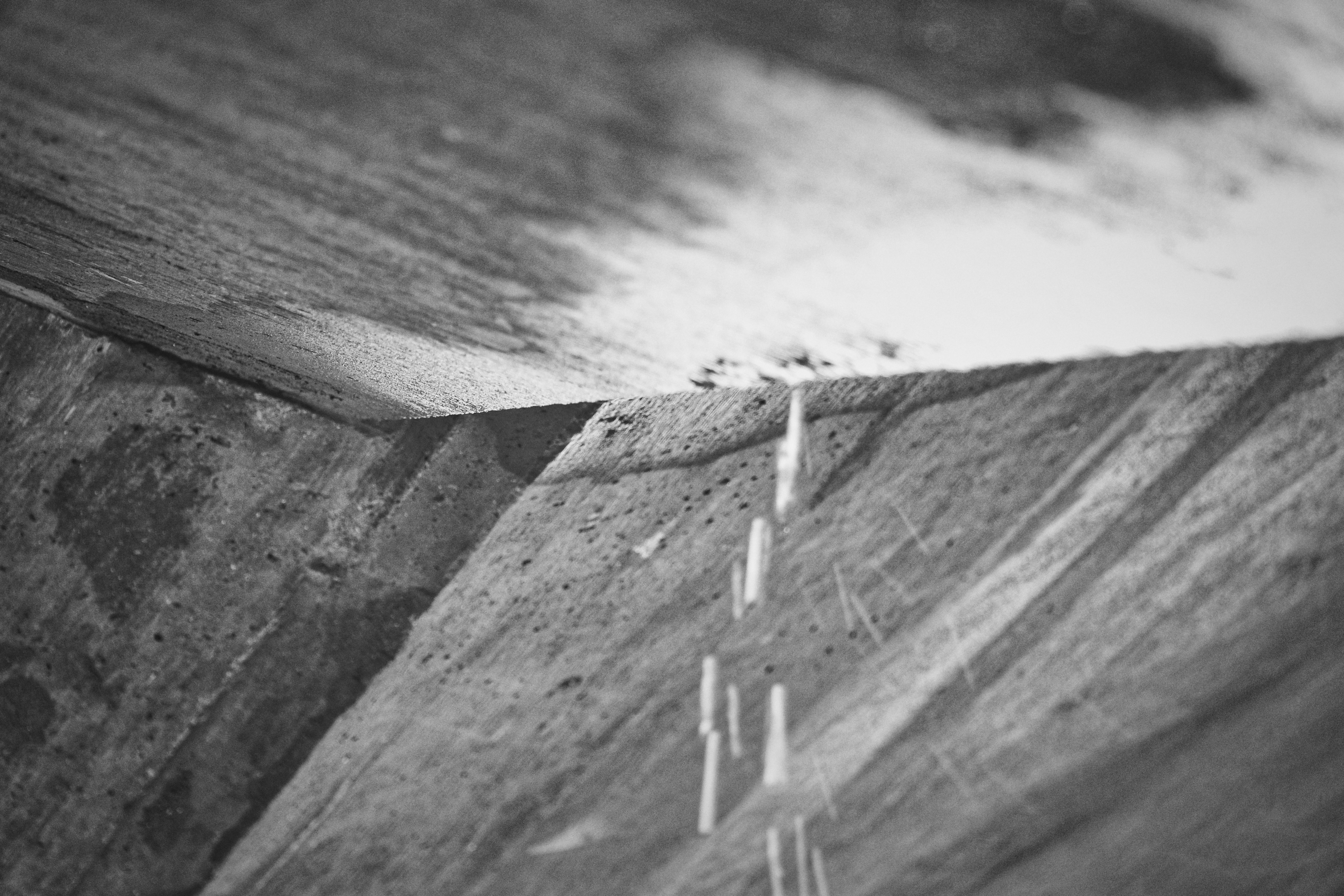 Boston photography
