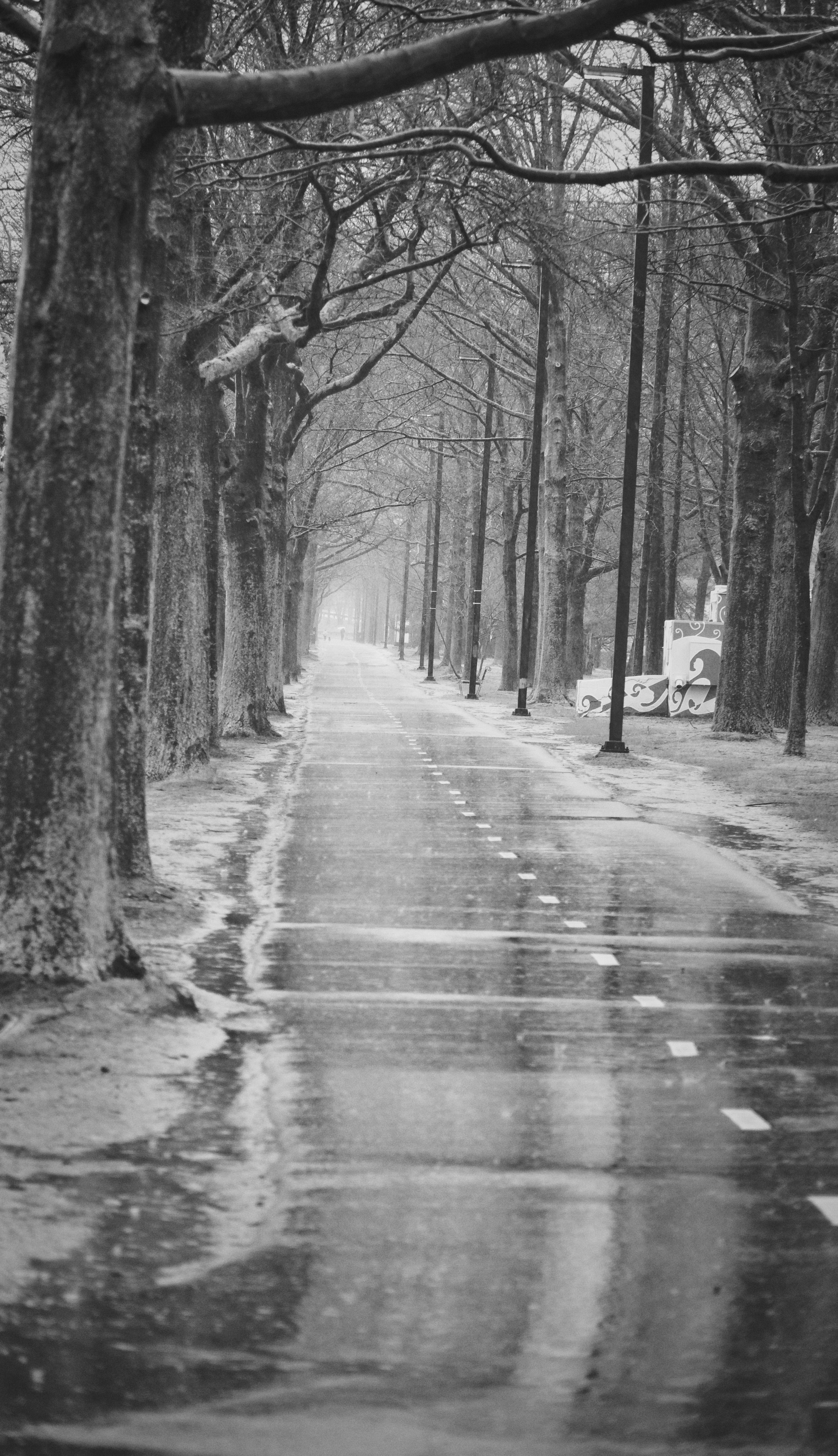 Boston photography
