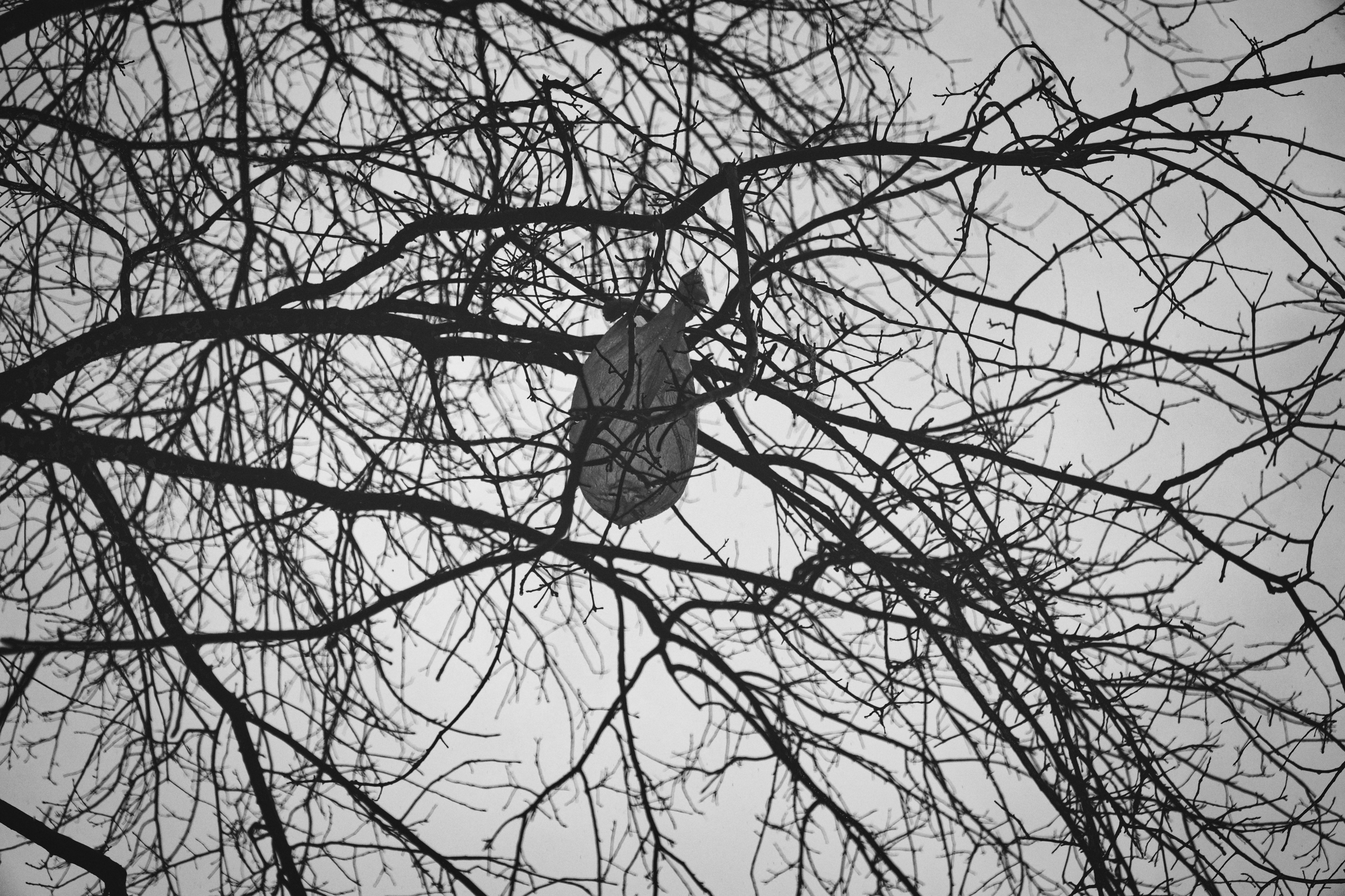Boston photography