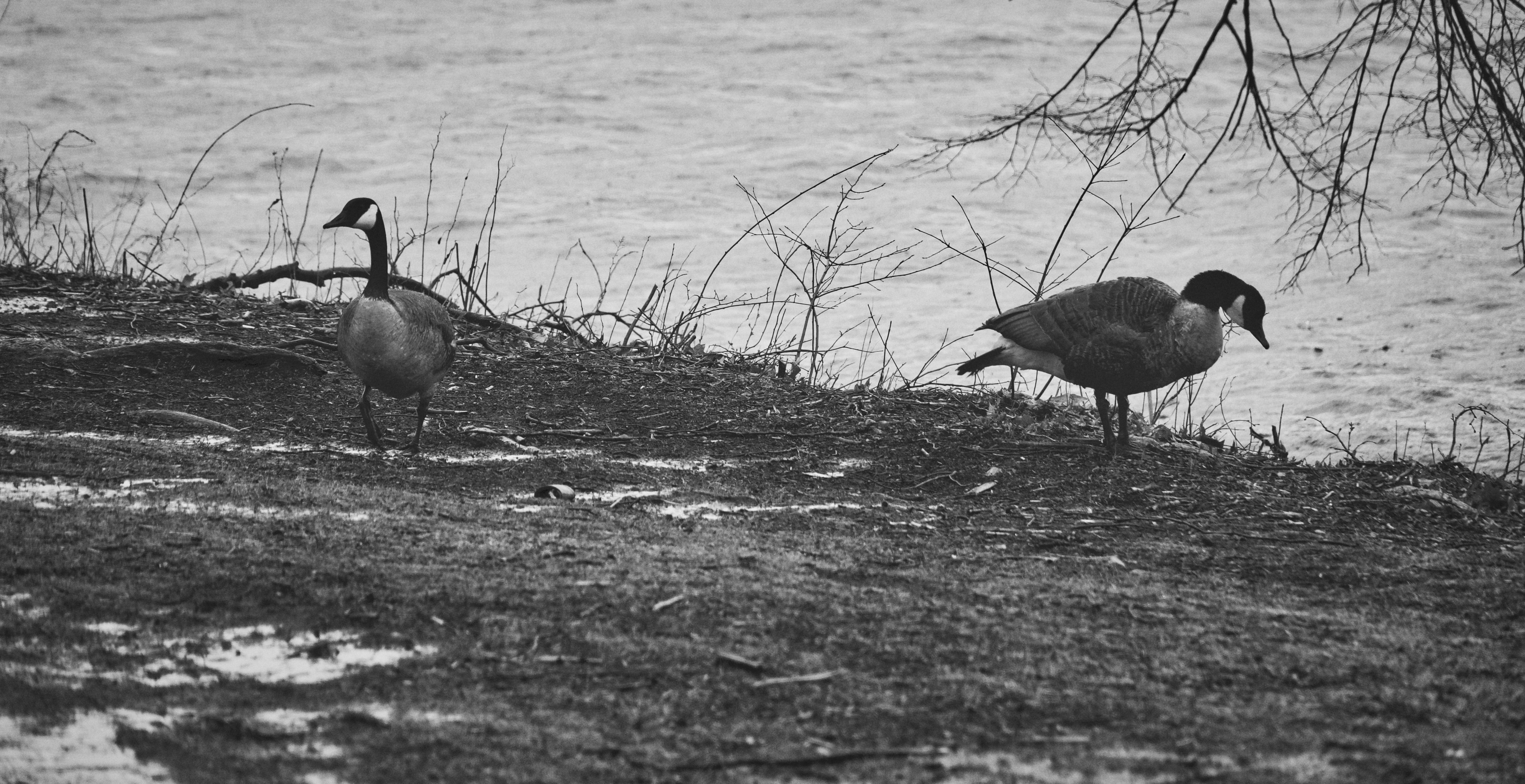 Boston photography