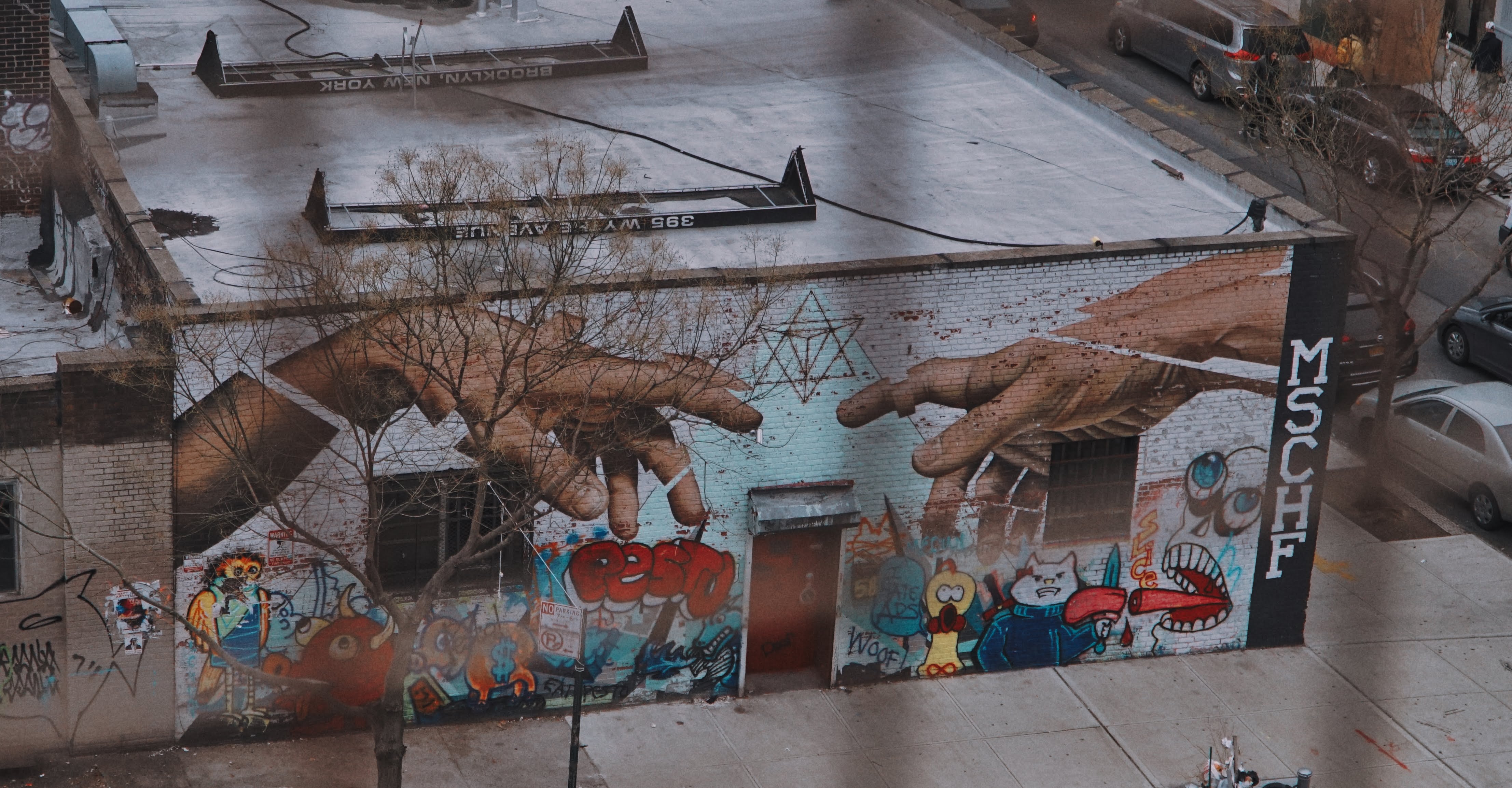 Brooklyn photography