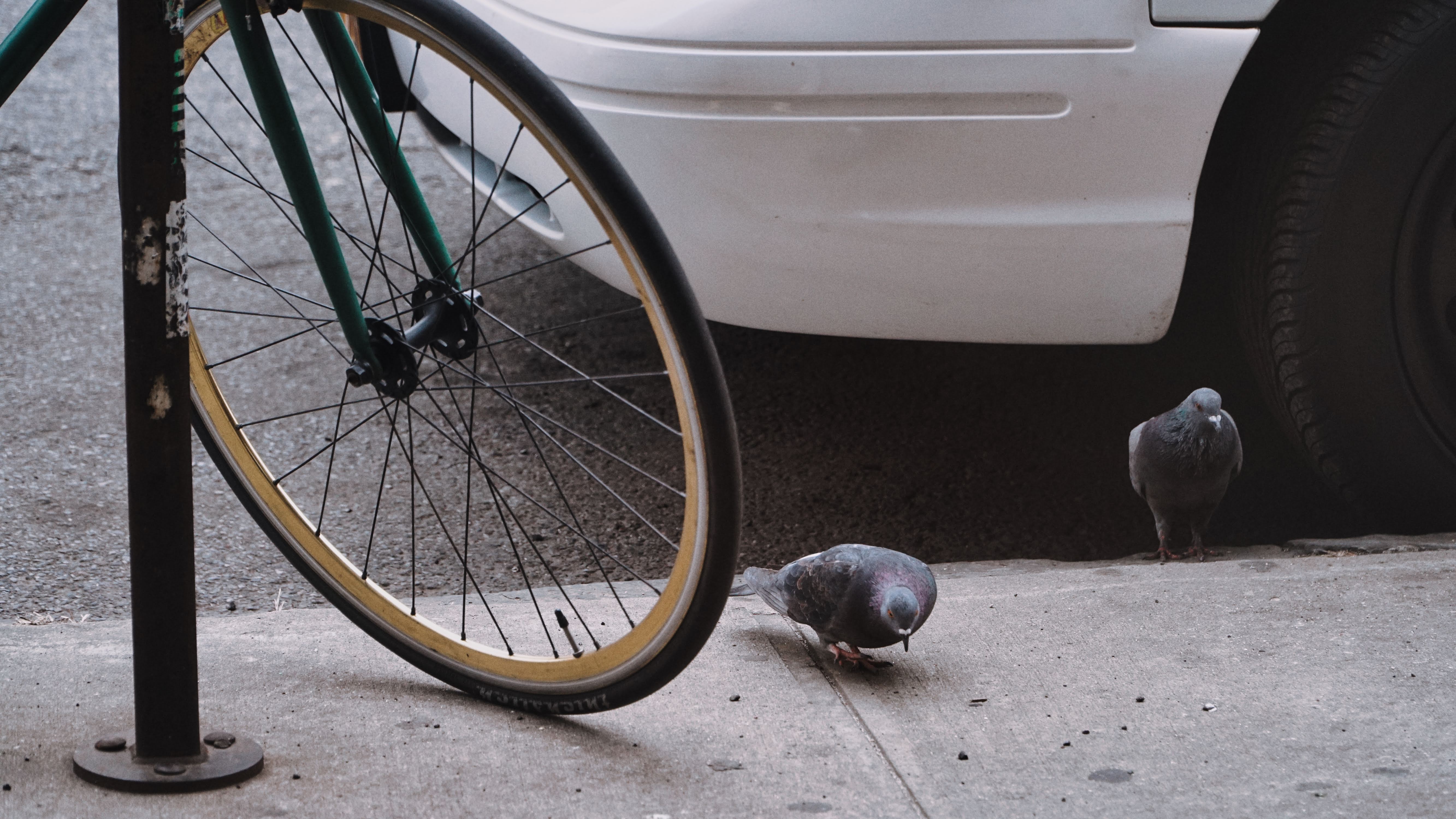 Brooklyn photography