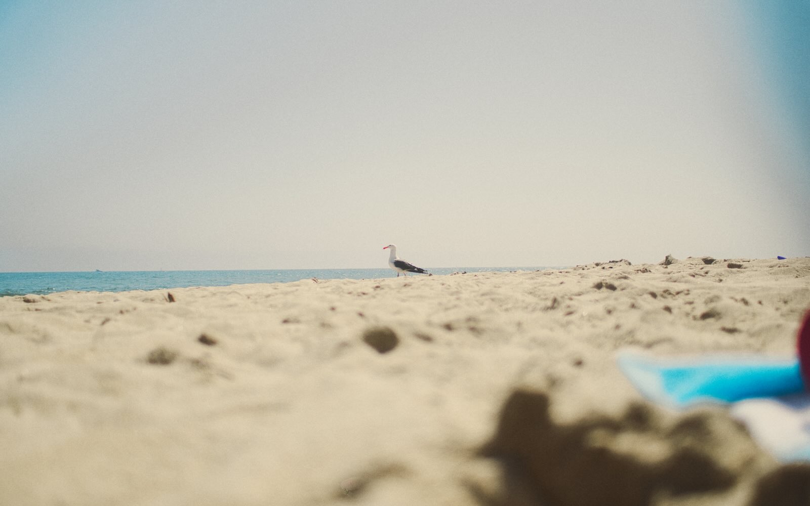 California photography cover