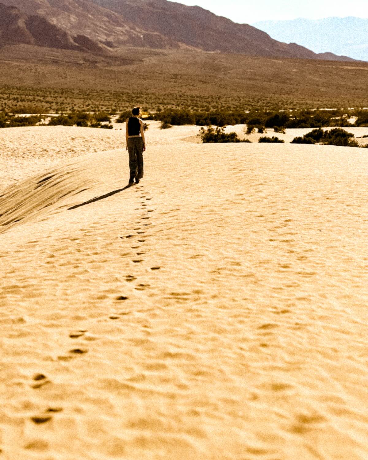 Death Valley photography cover