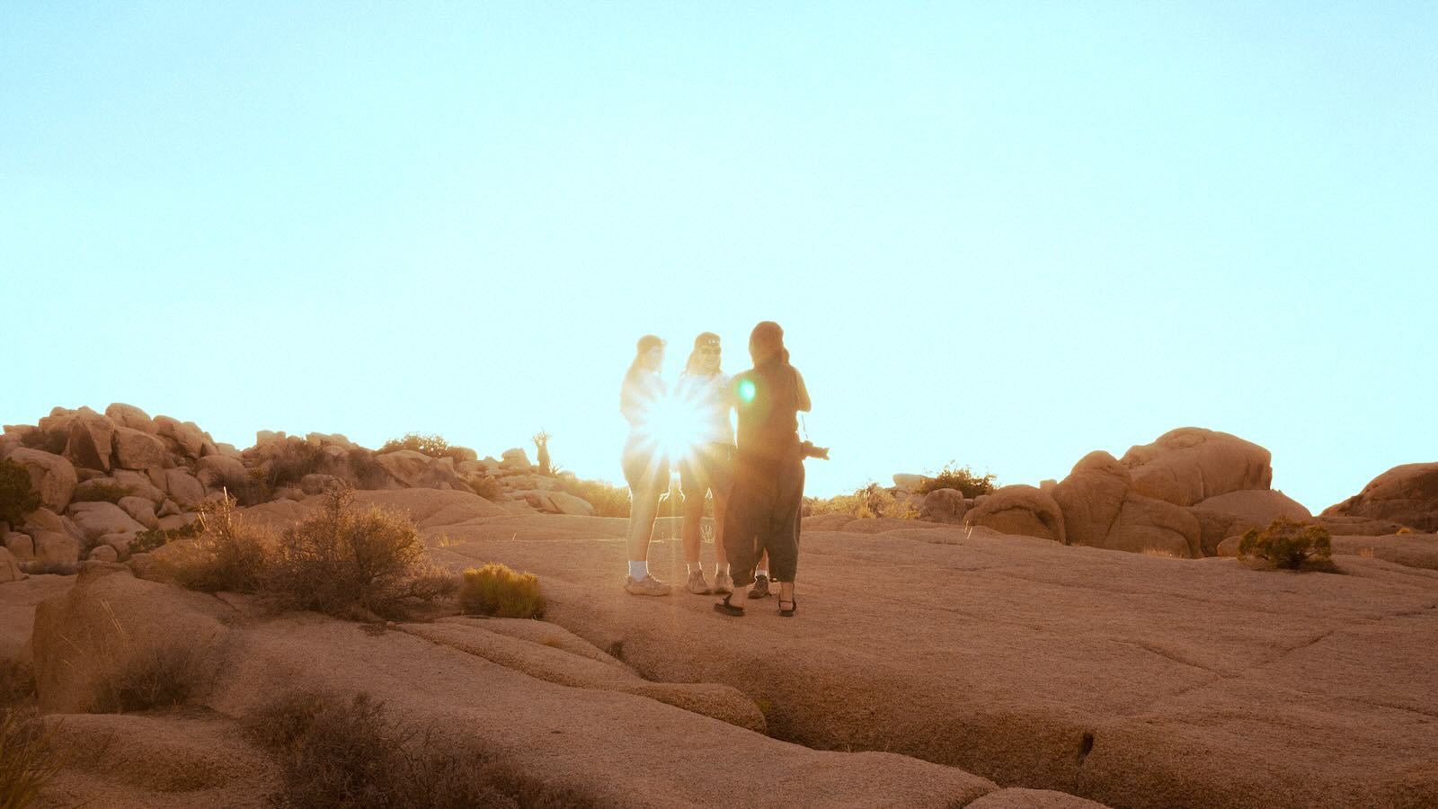 Joshua Tree II photography cover