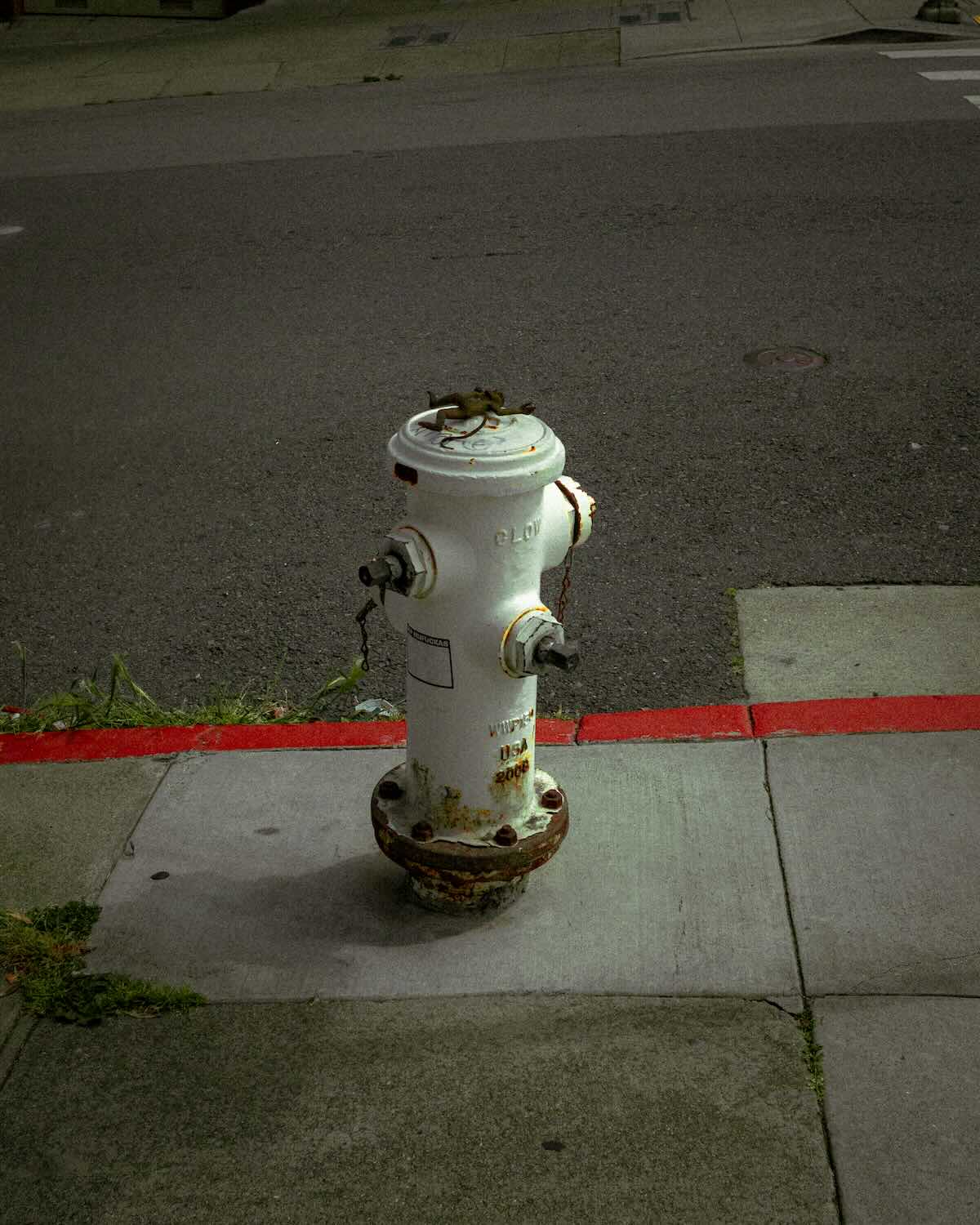 San Francisco photography cover