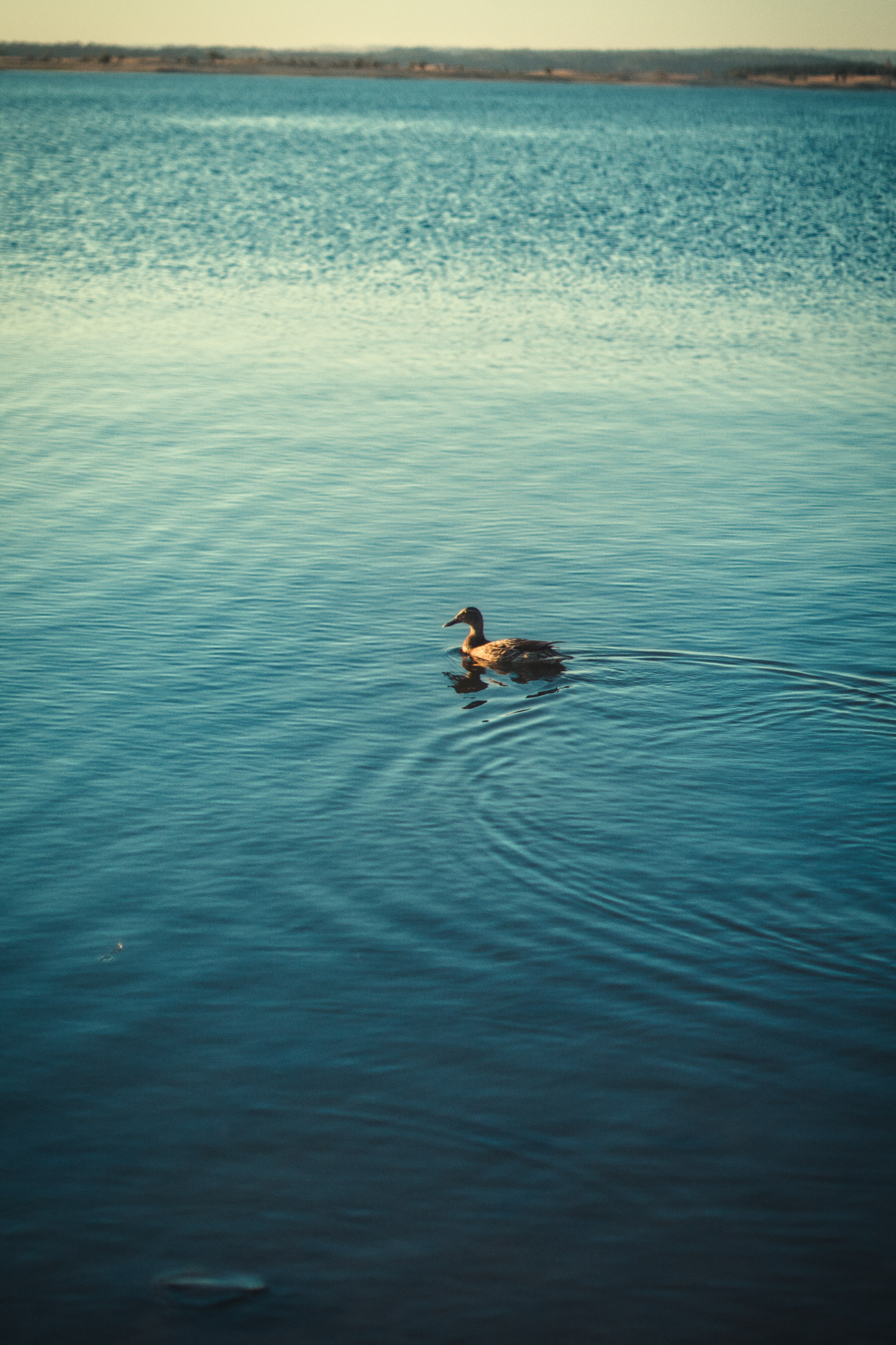 Folsom Lake photography