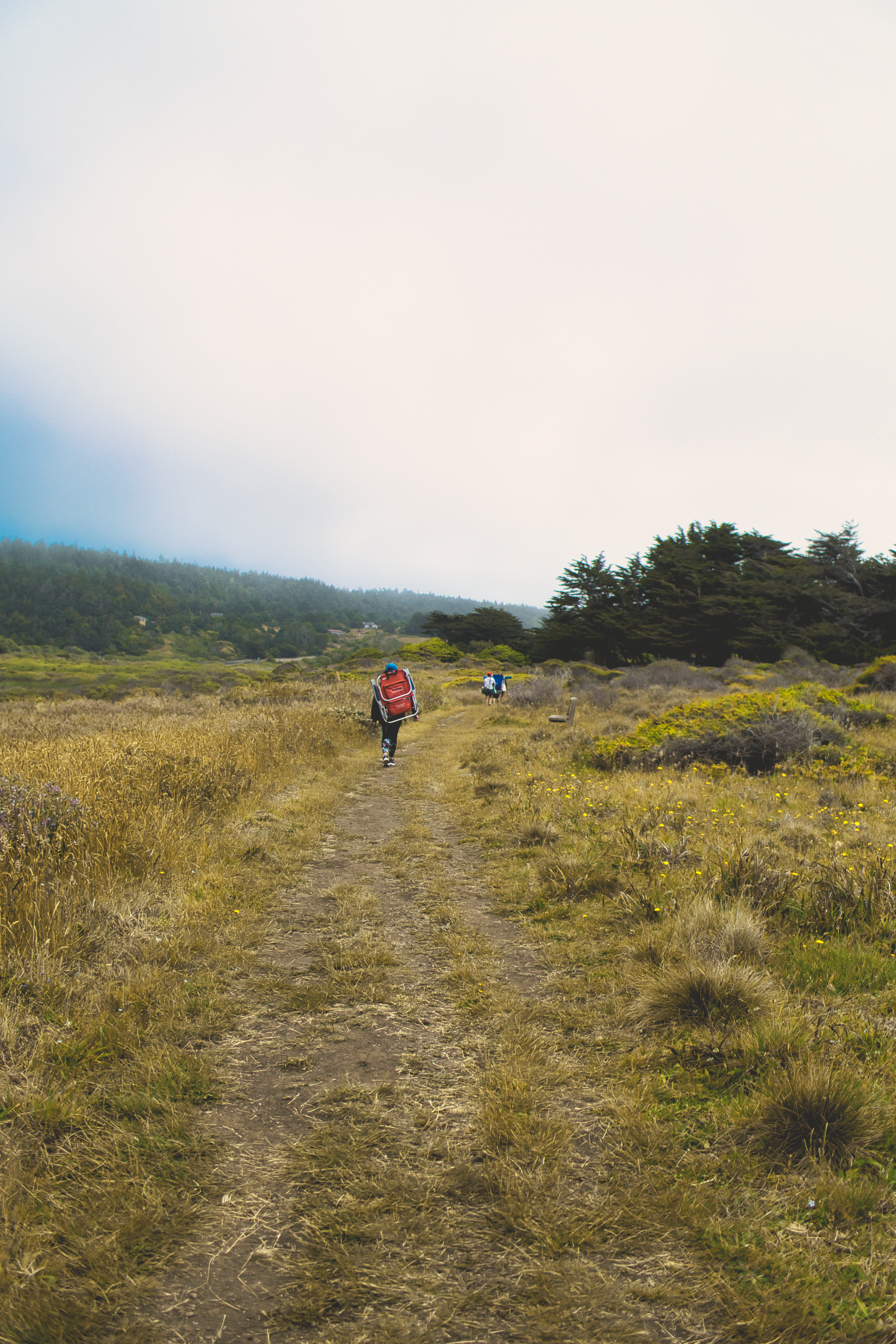 Gualala photography