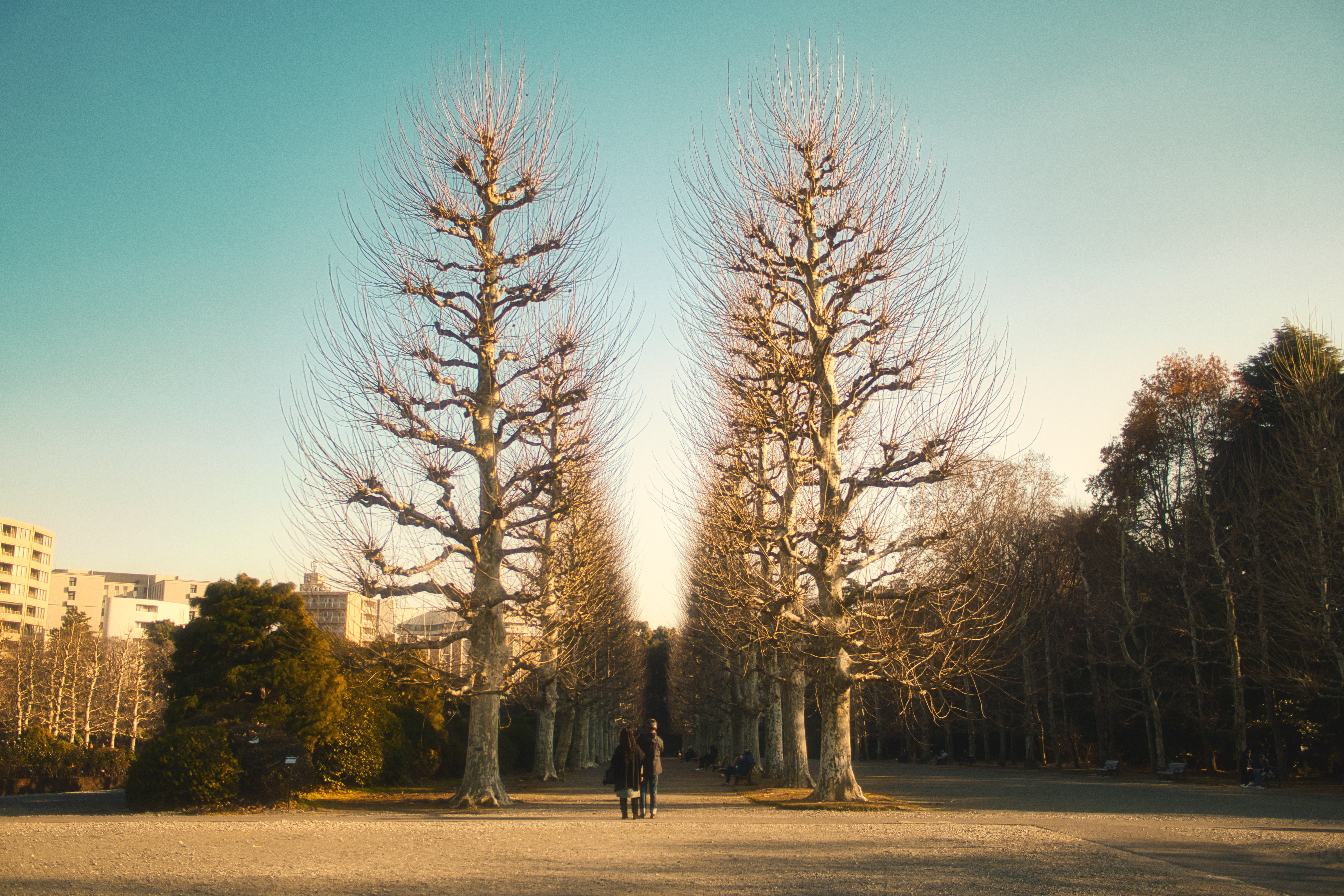 Japan photography