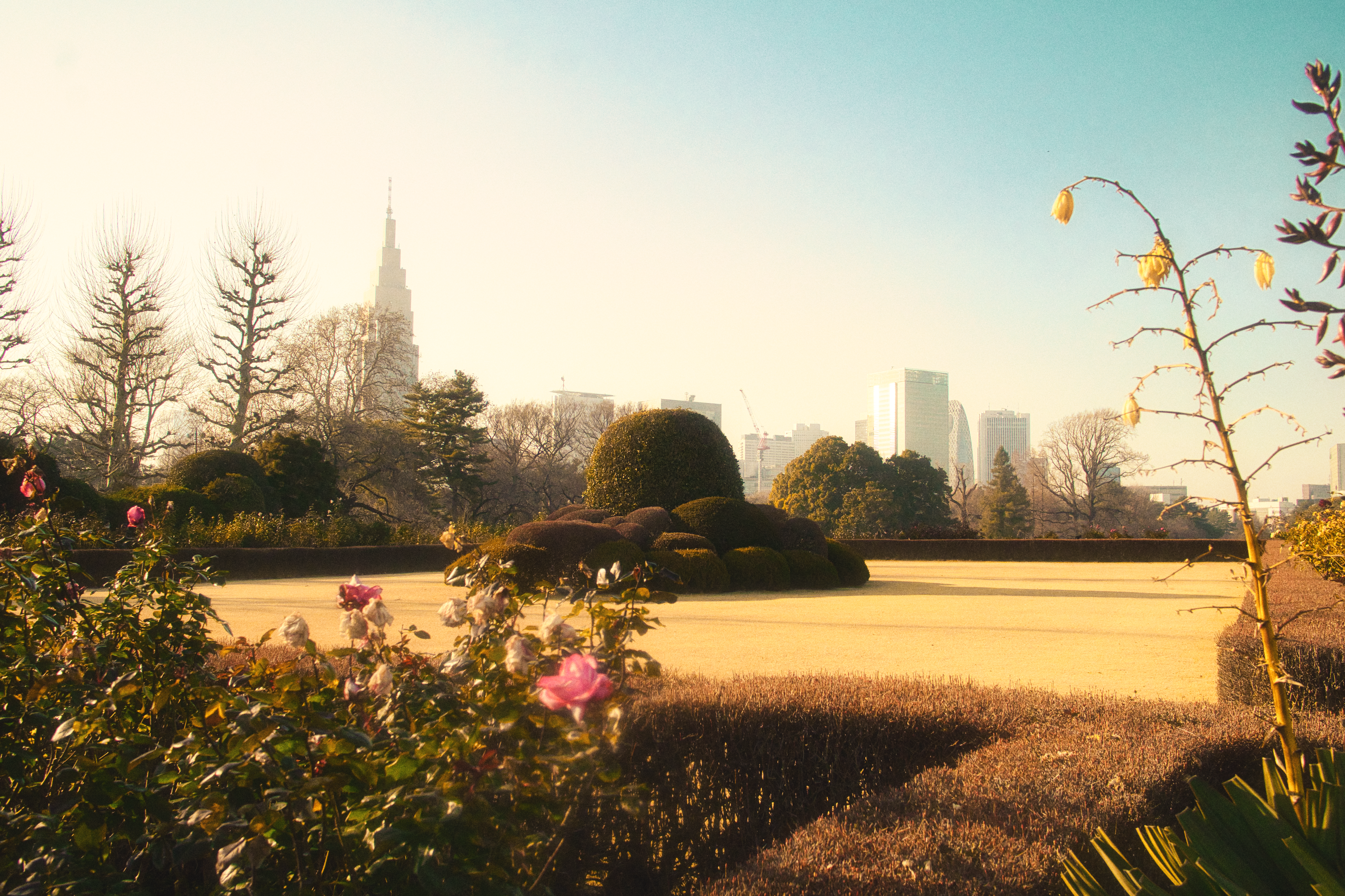 Japan photography