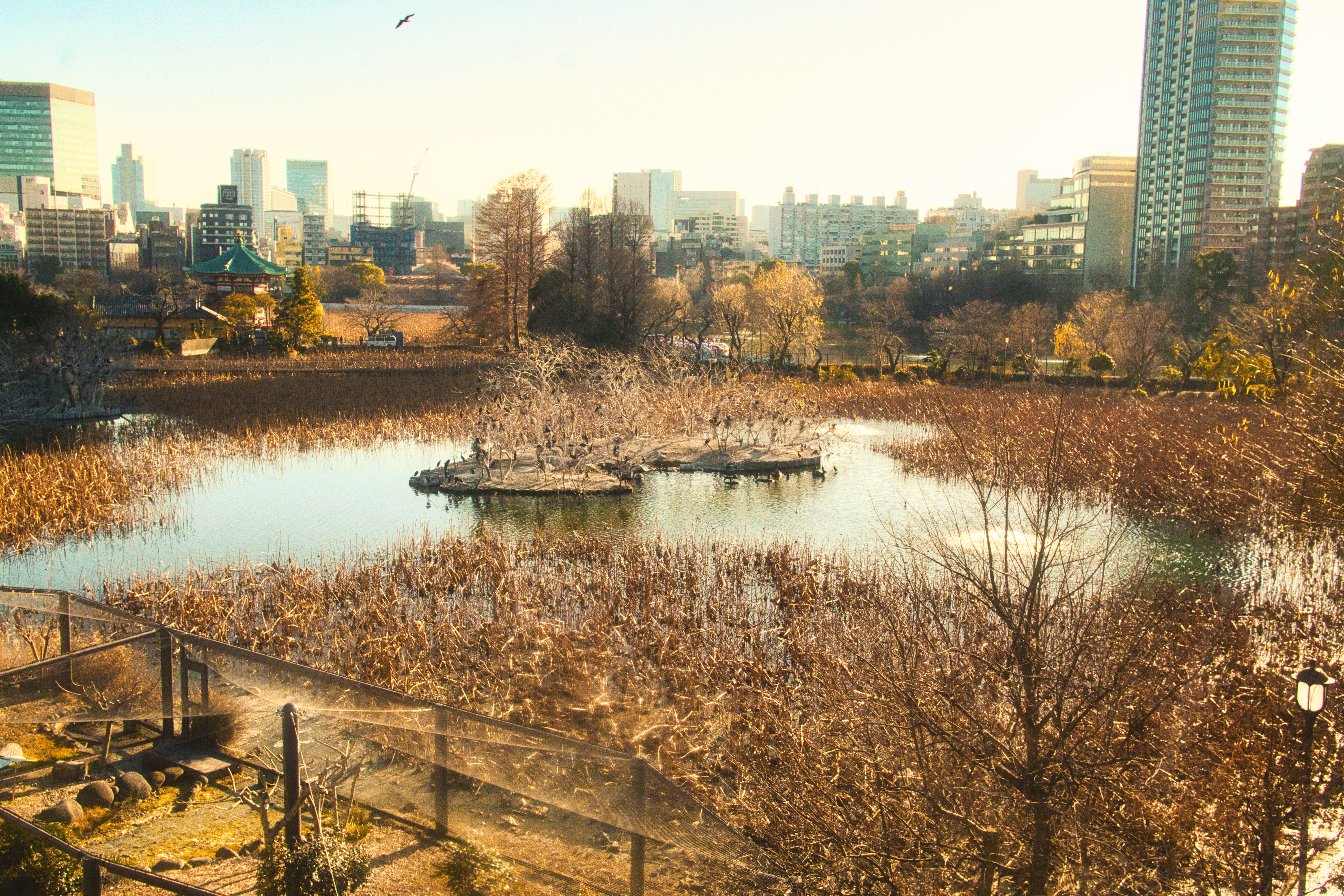 Japan photography