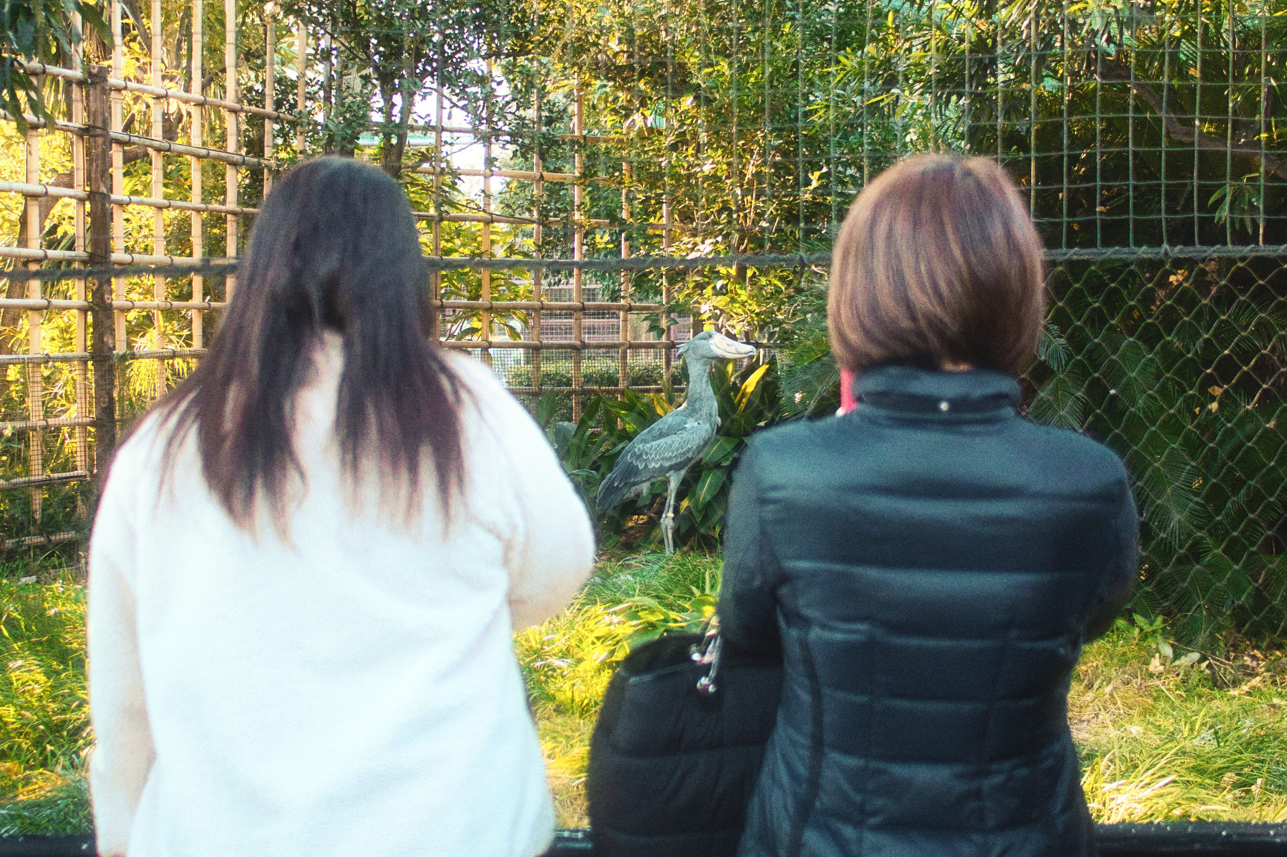 Japan photography