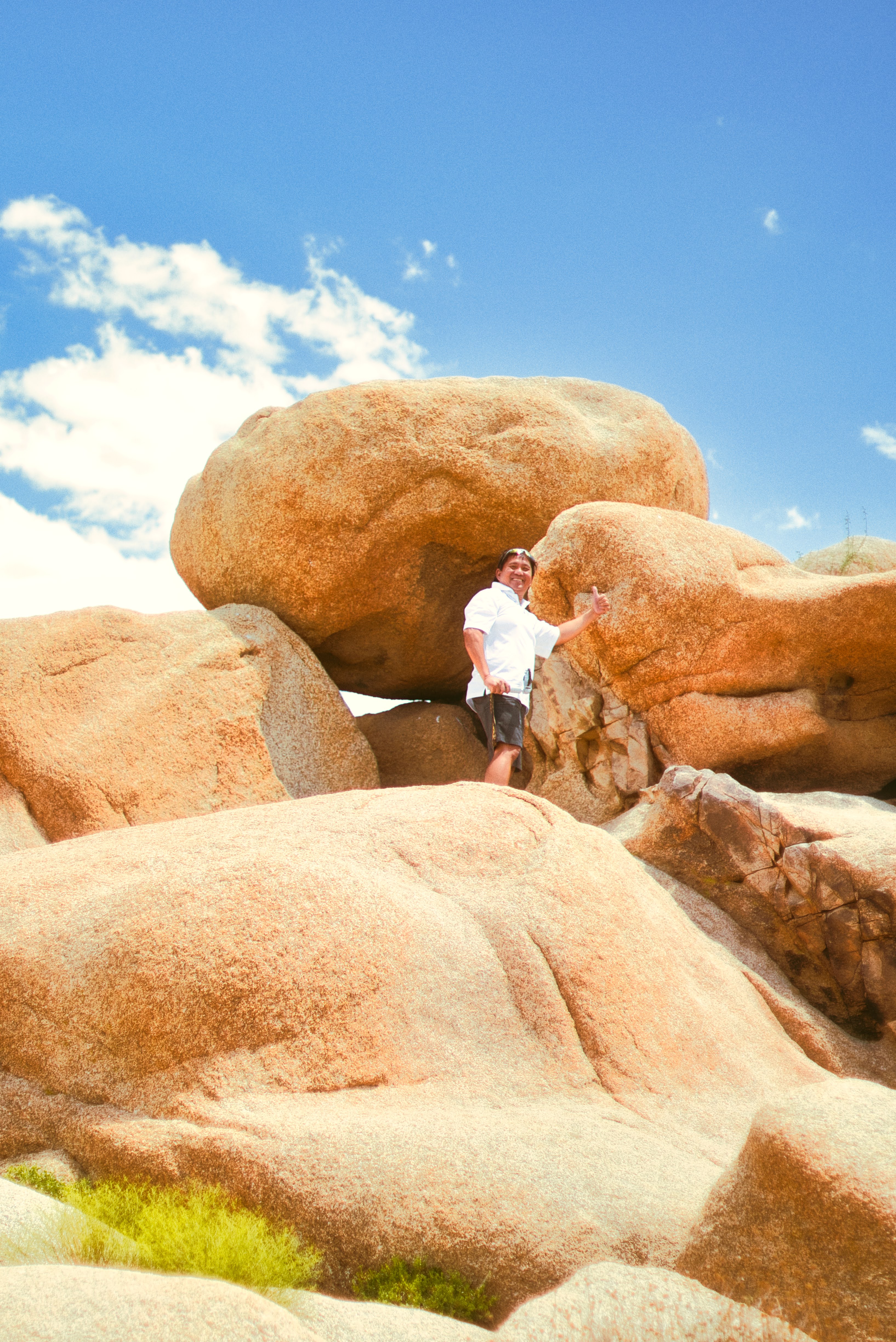 Joshua Tree photography