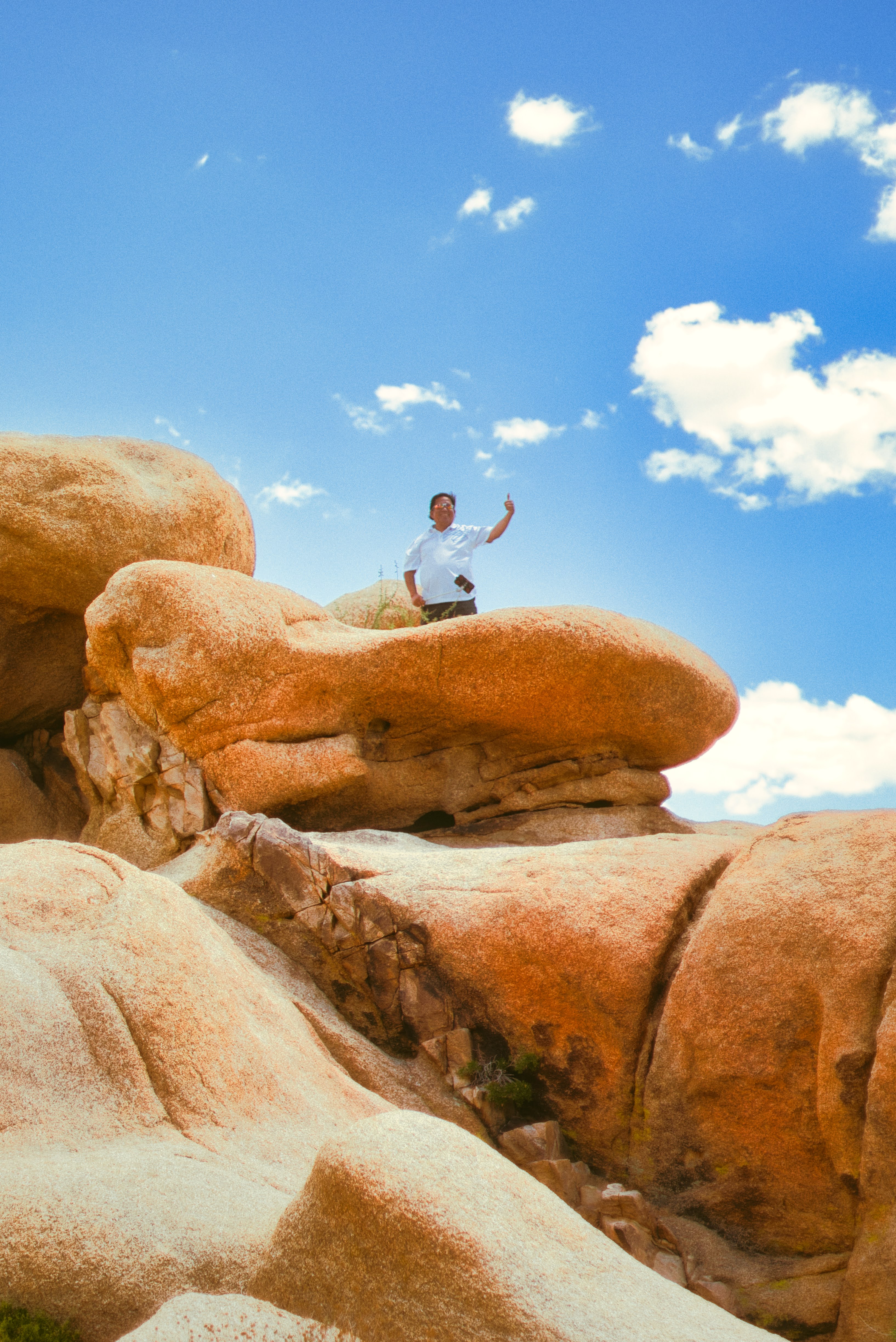 Joshua Tree photography