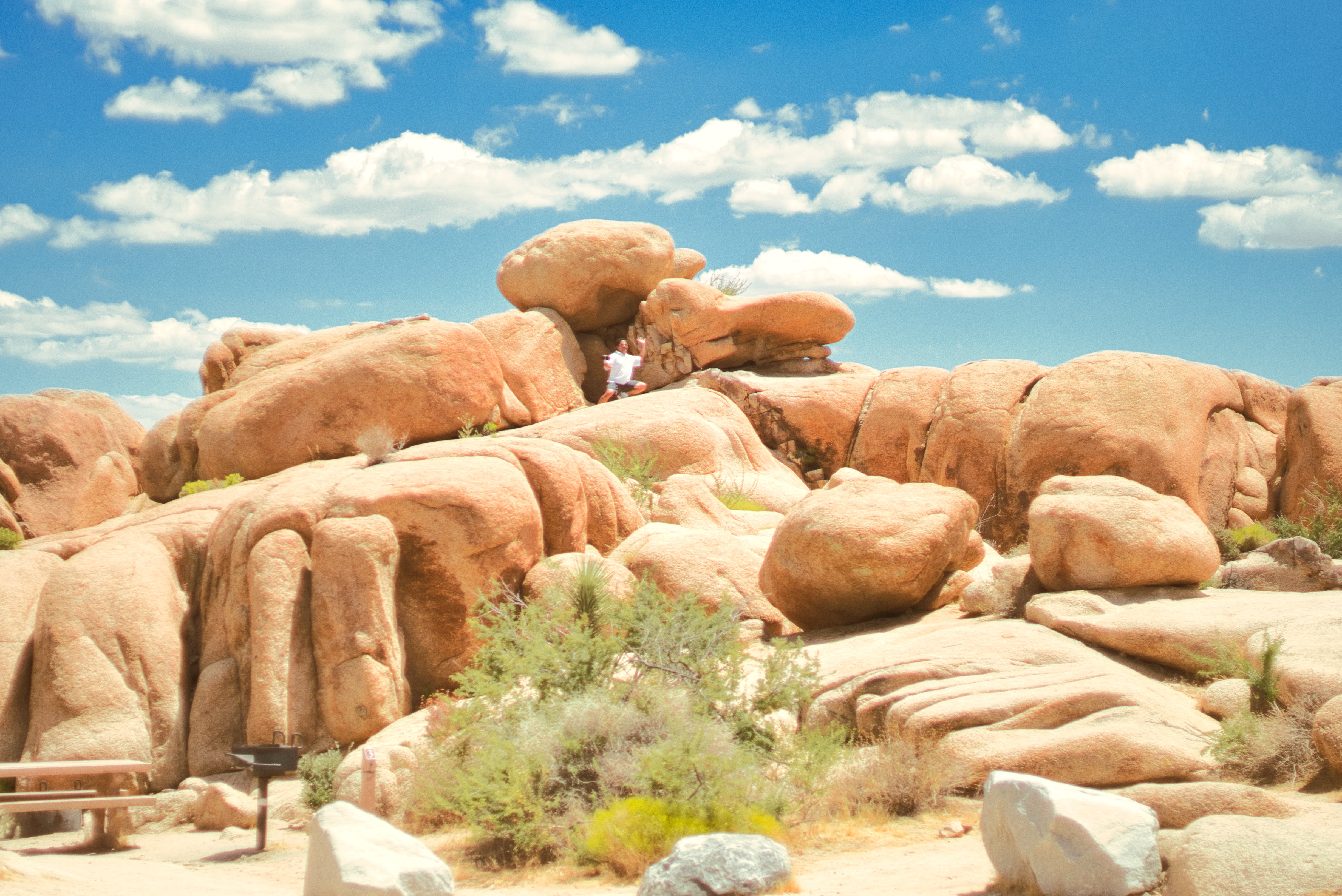Joshua Tree photography