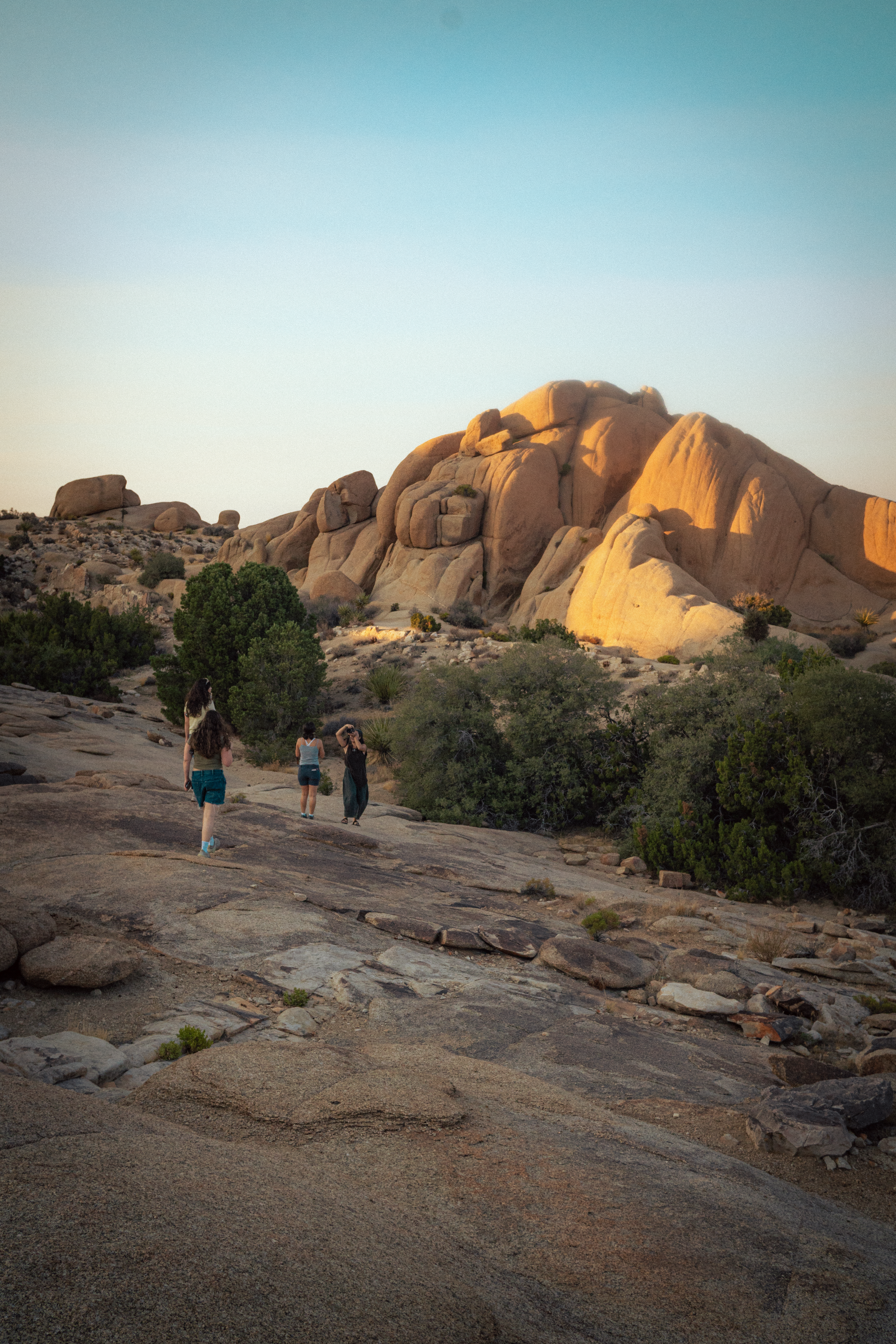Joshua Tree II photography