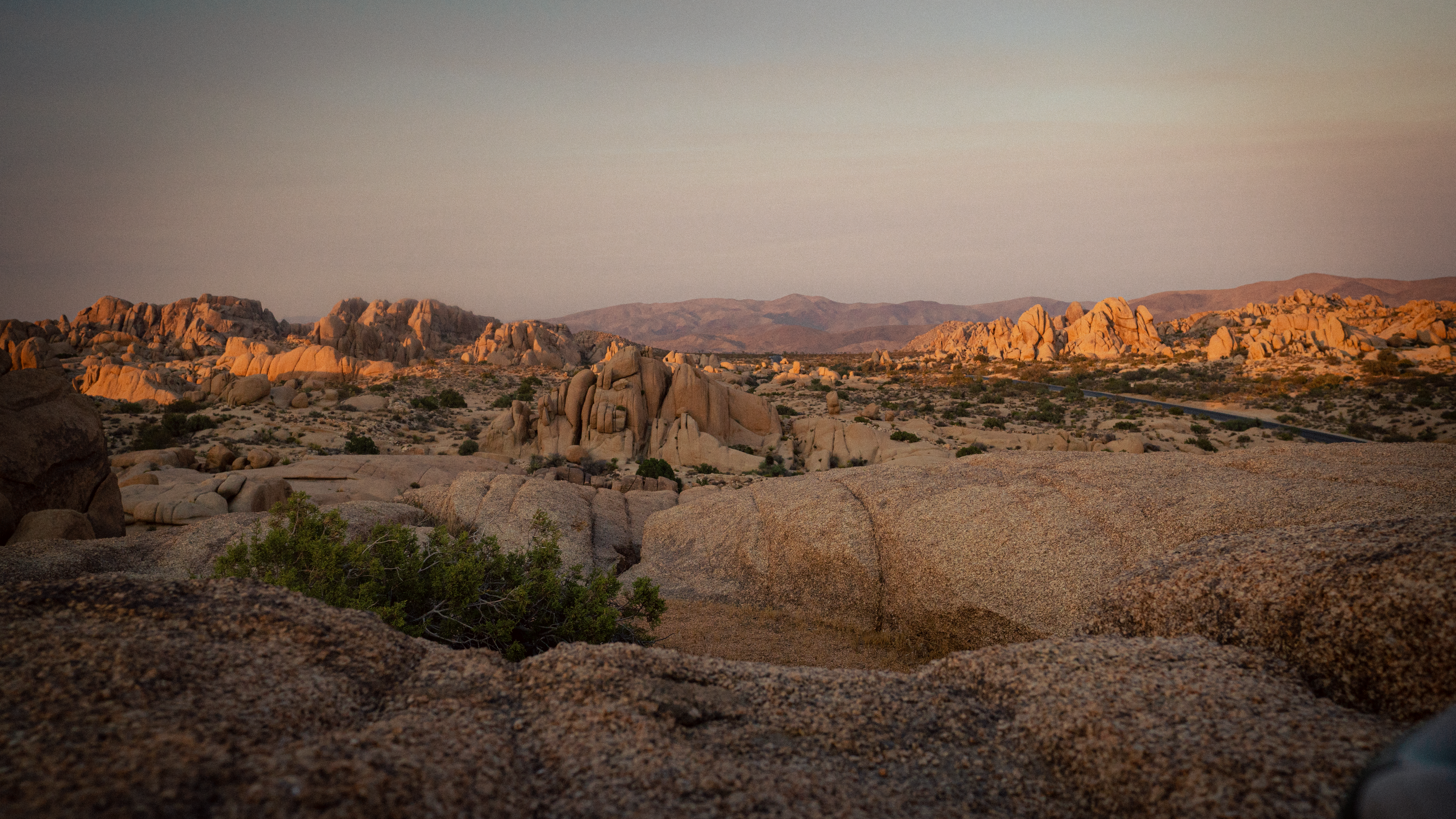 Joshua Tree II photography