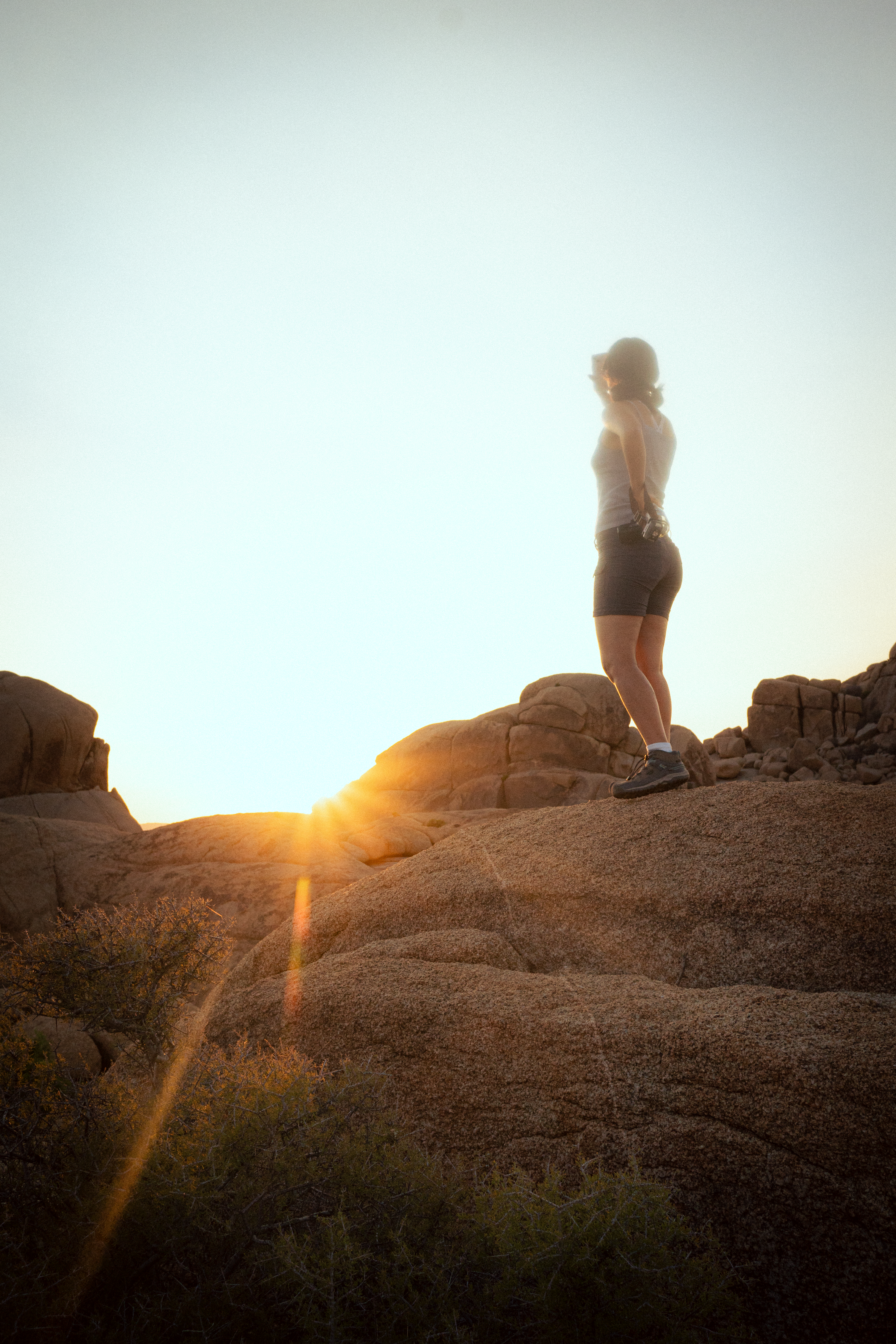 Joshua Tree II photography