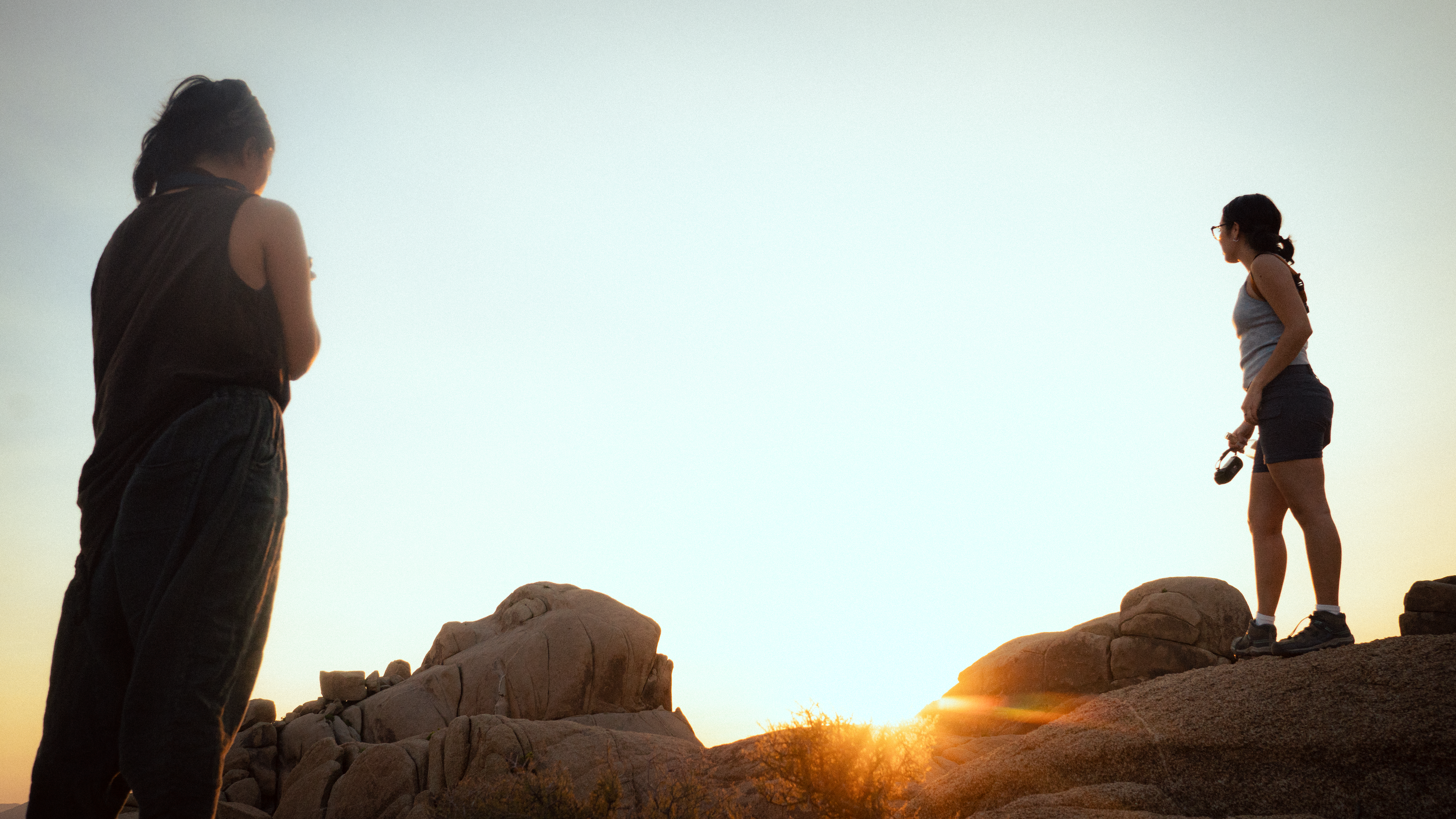 Joshua Tree II photography