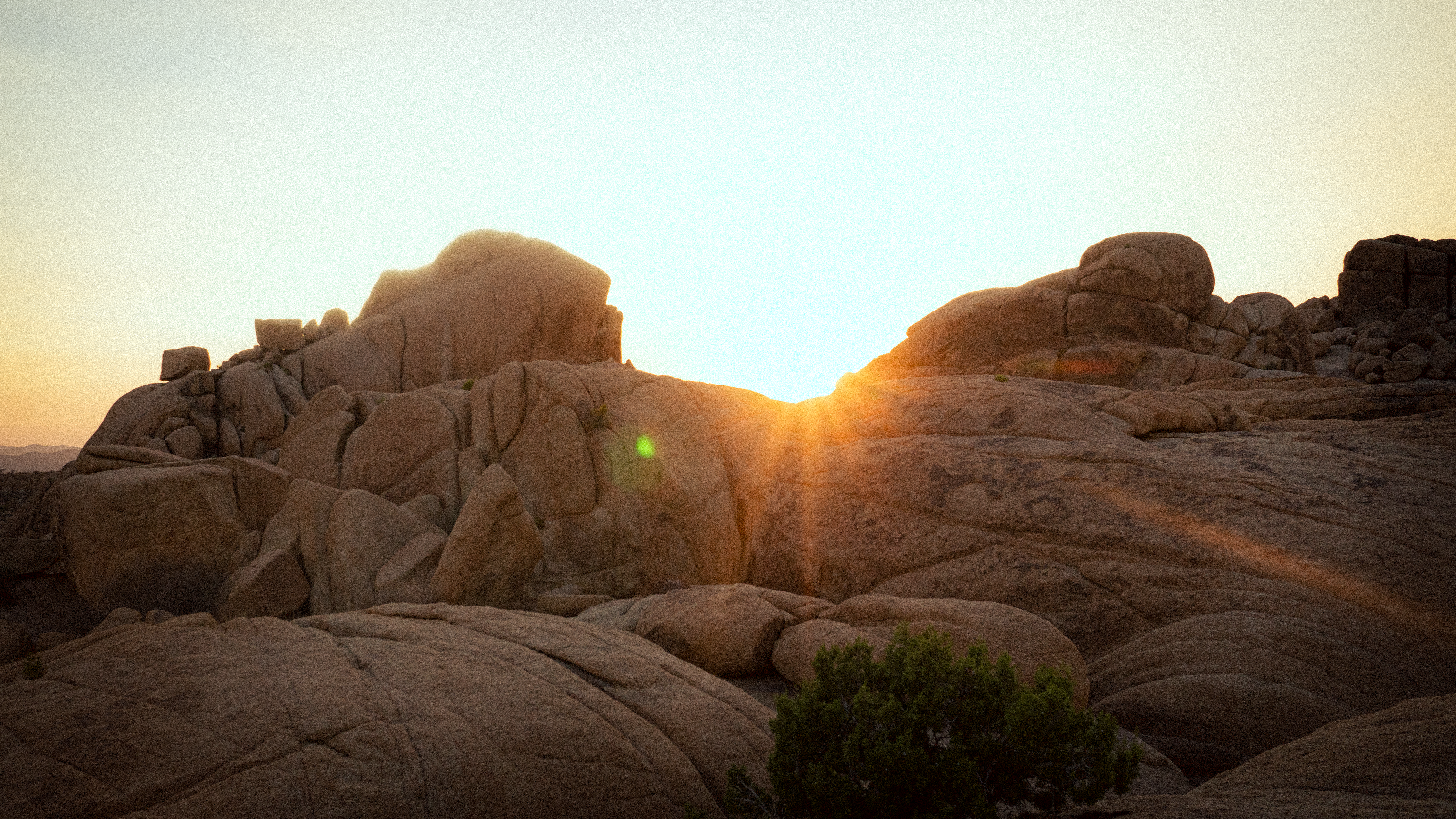 Joshua Tree II photography