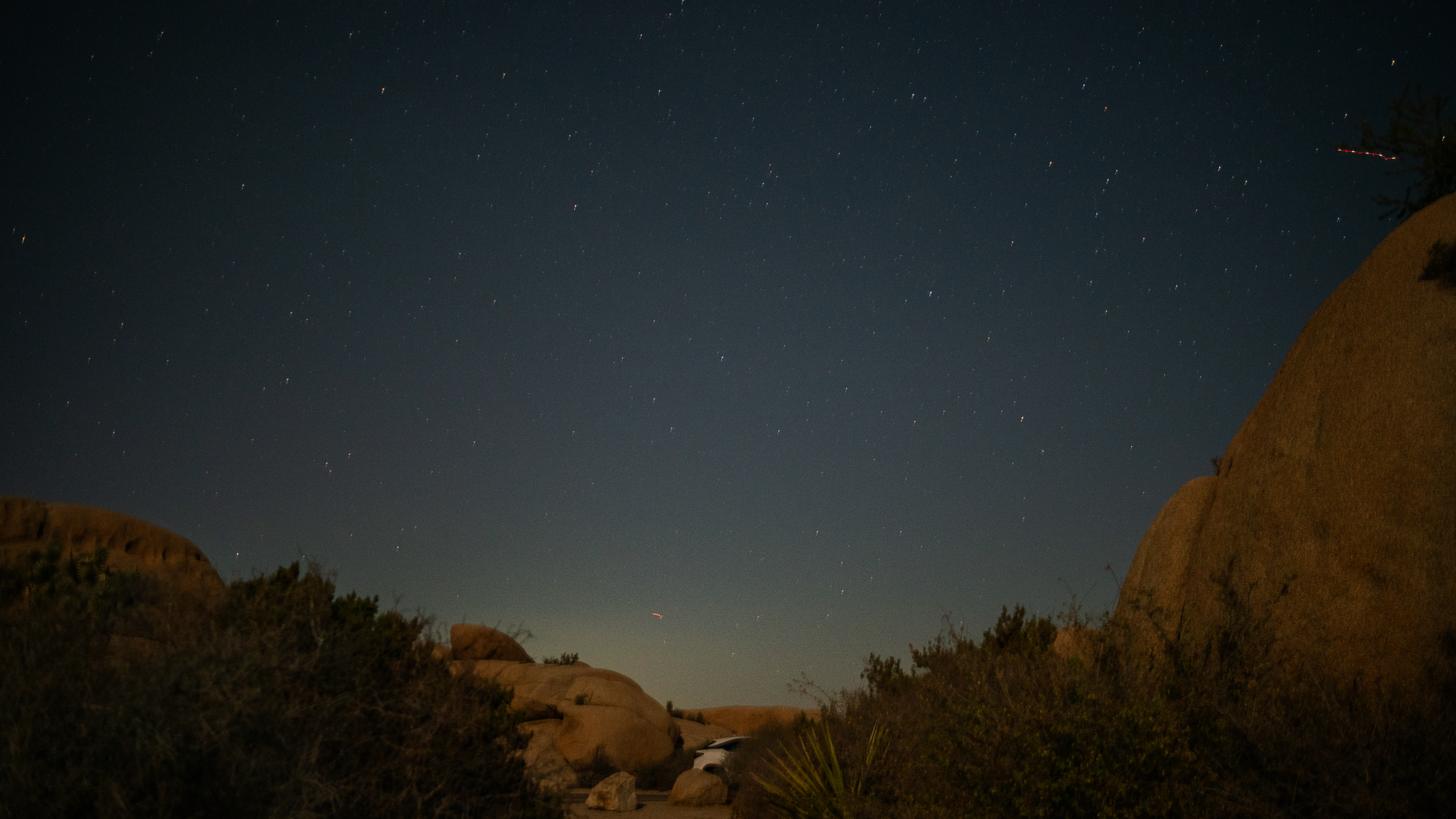 Joshua Tree II photography