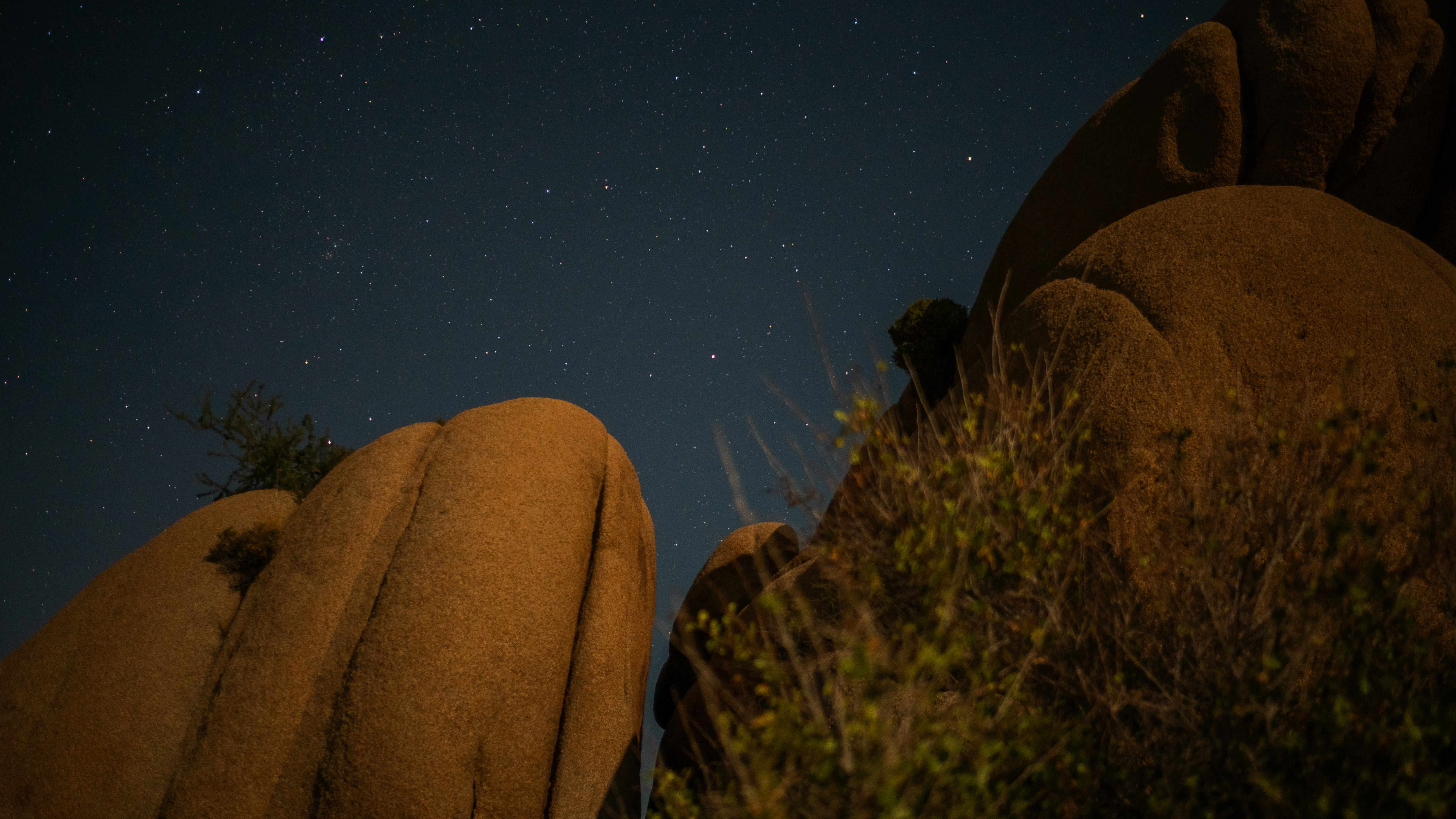 Joshua Tree II photography