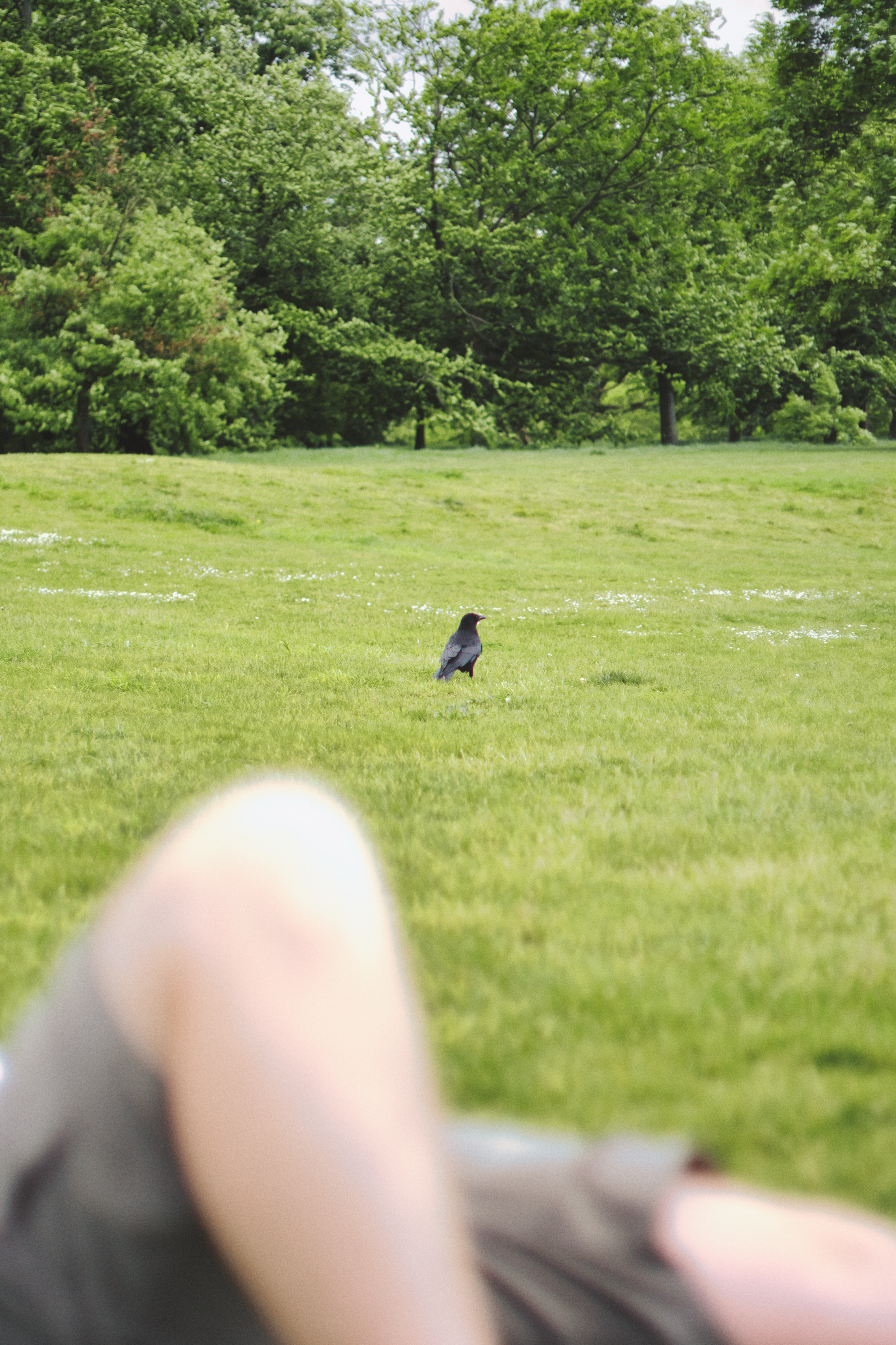 London photography