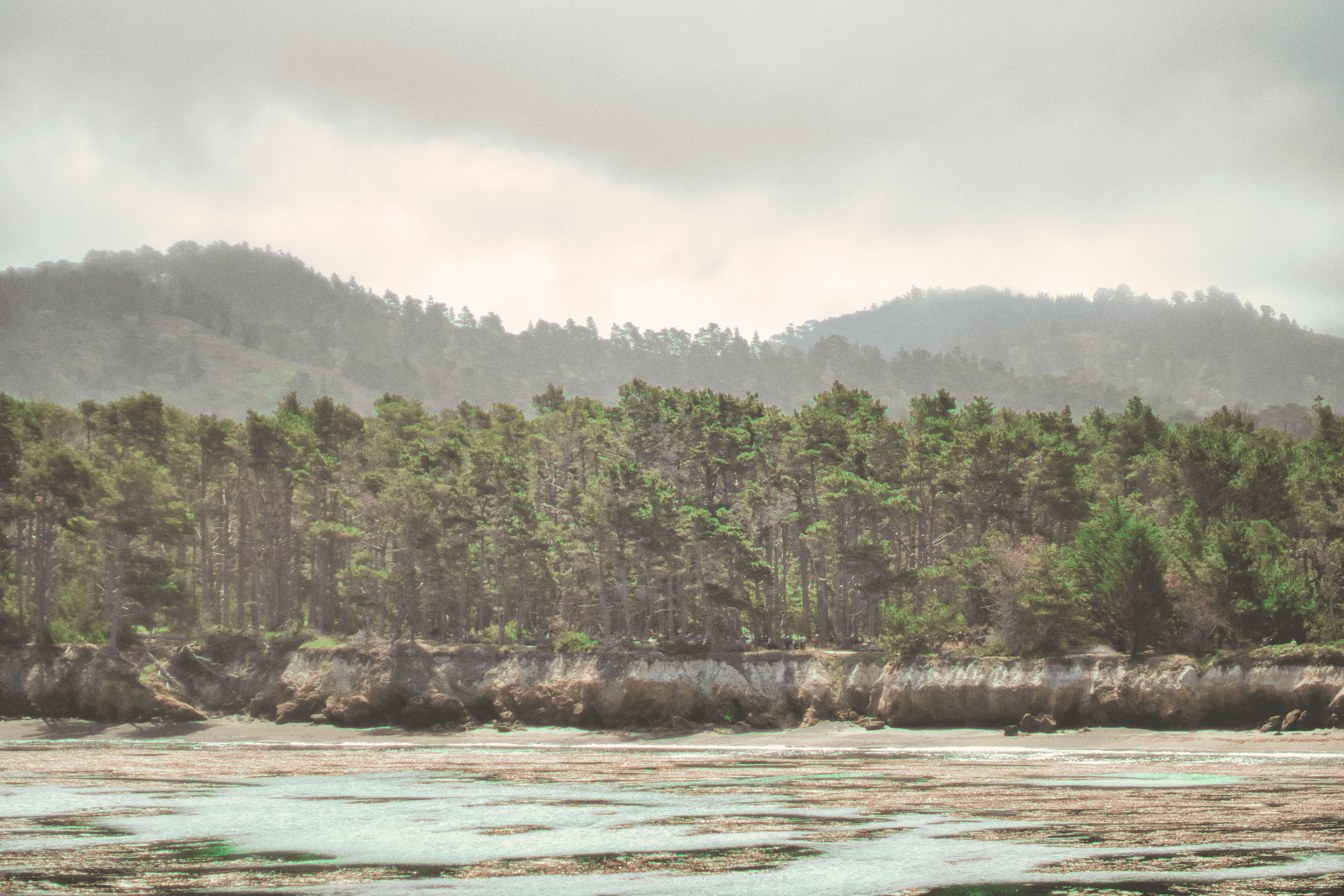 Monterey photography