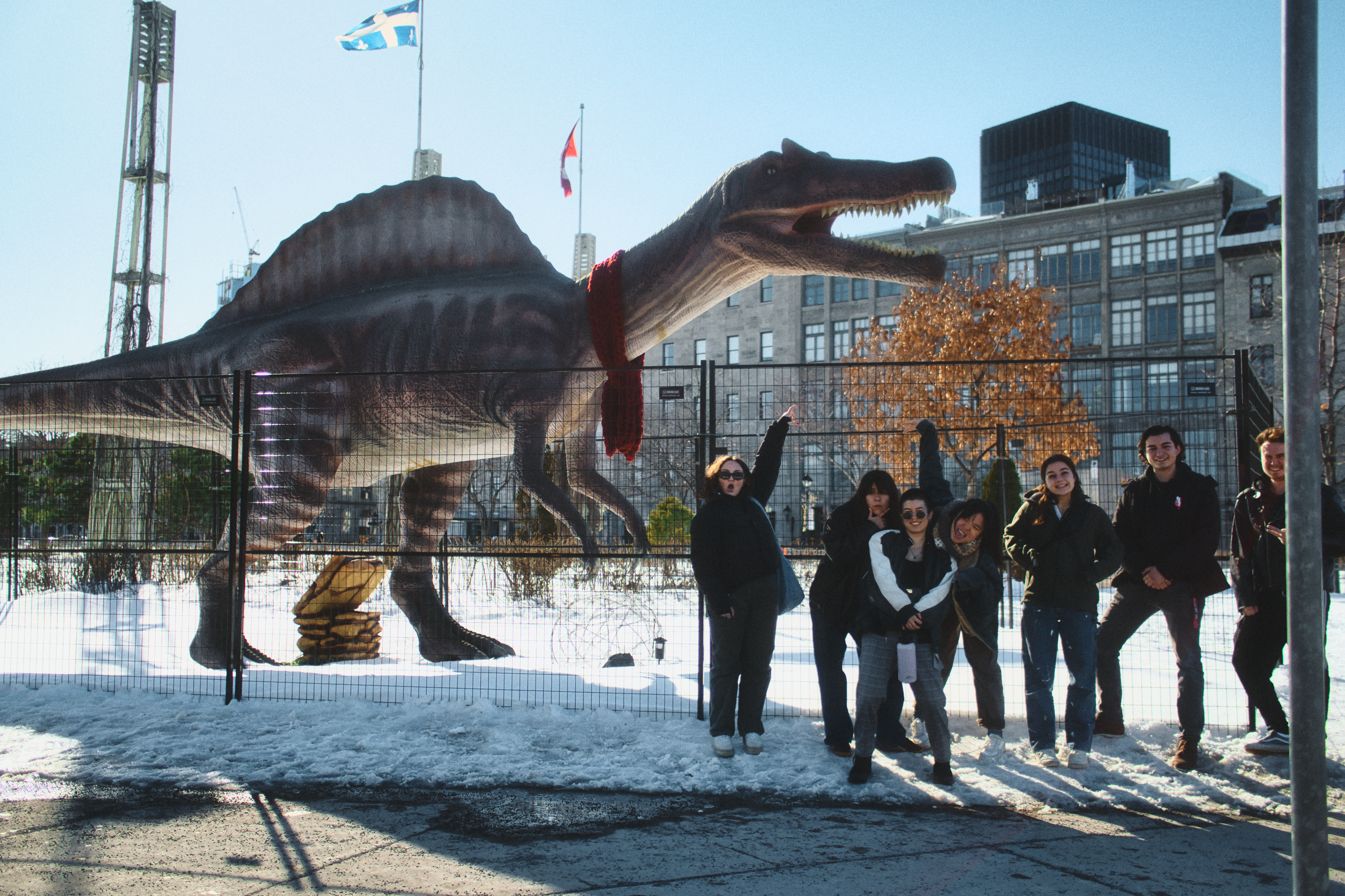 Montreal photography