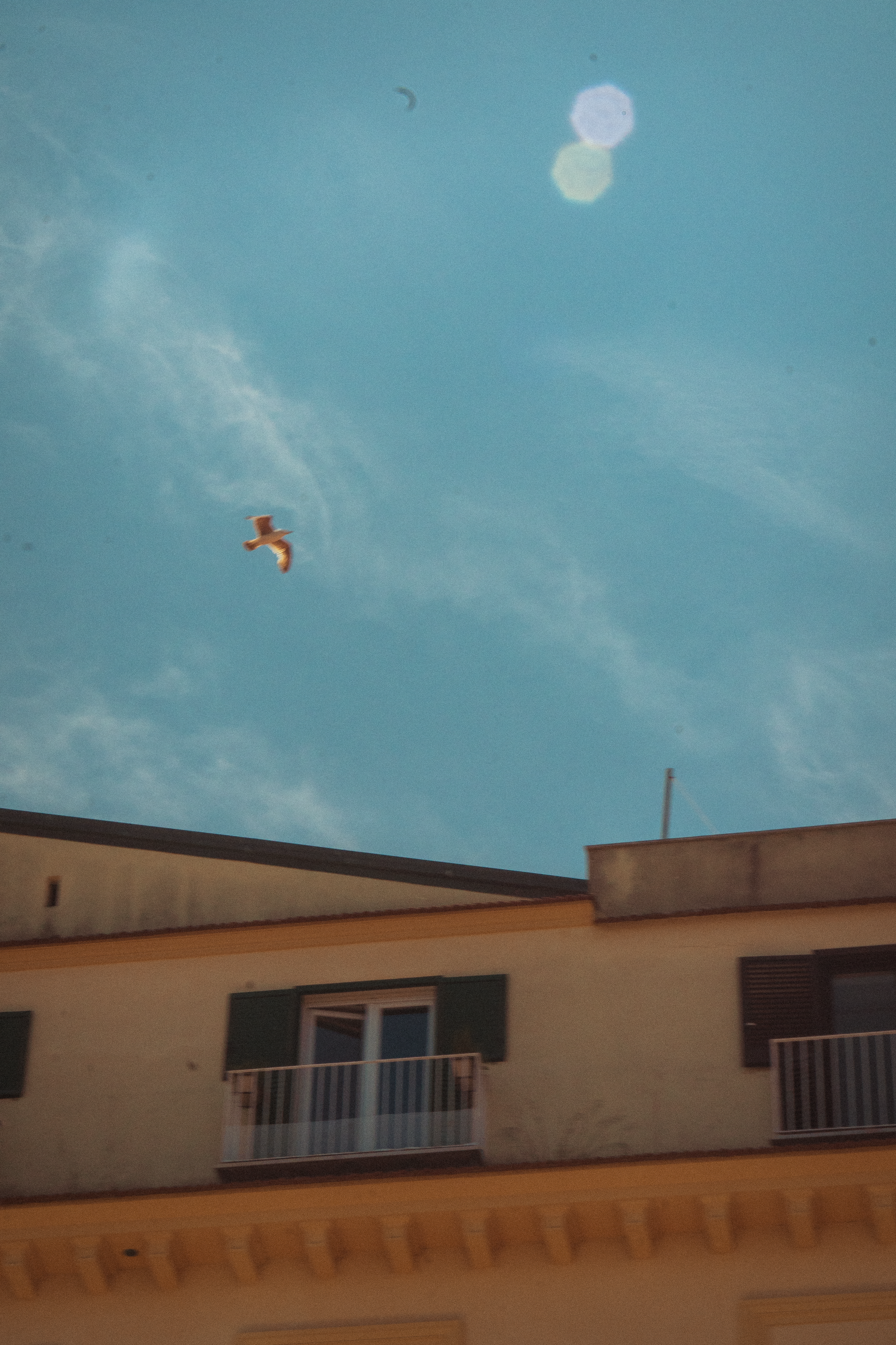 Naples photography