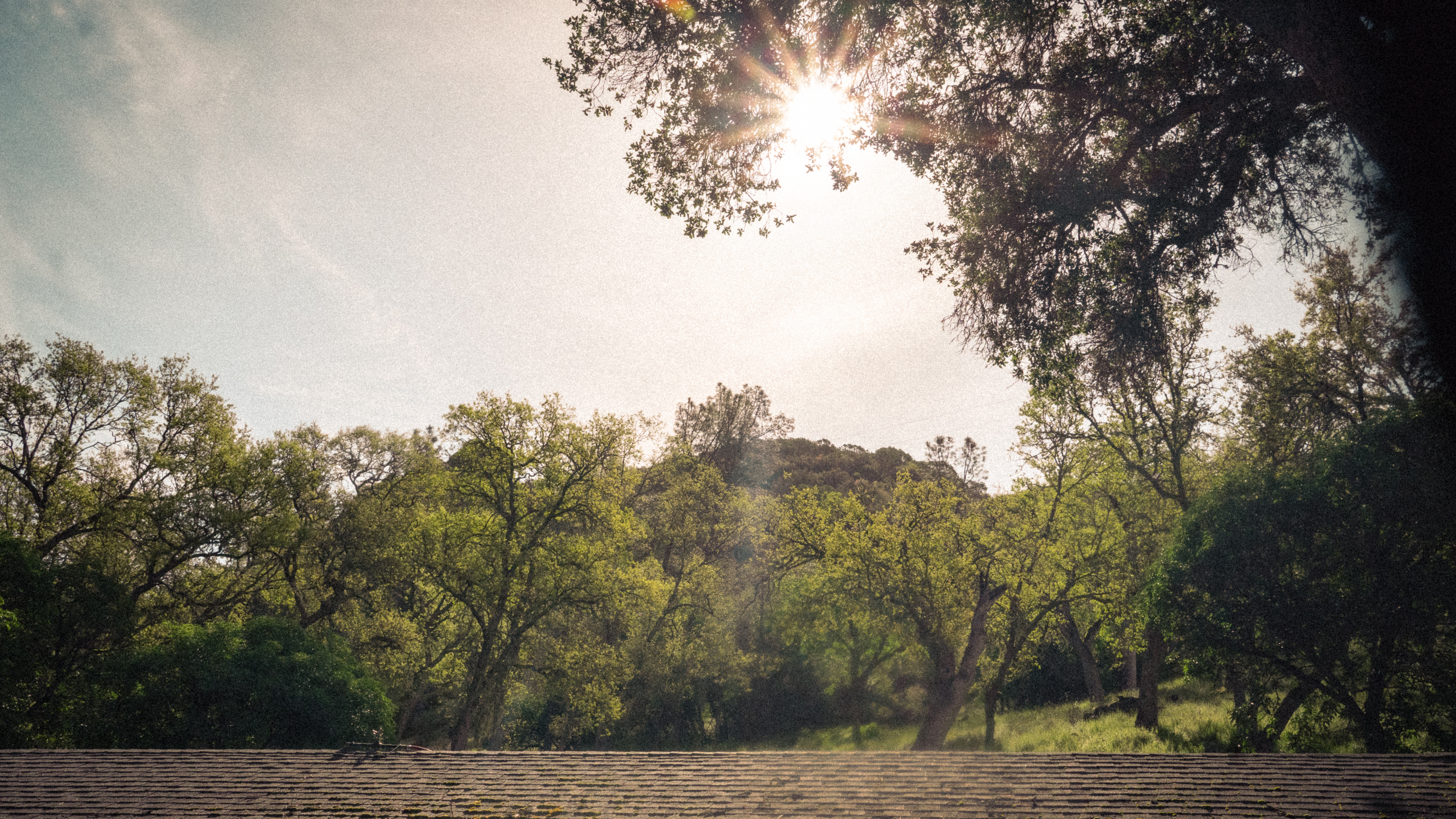 Pinnacle photography