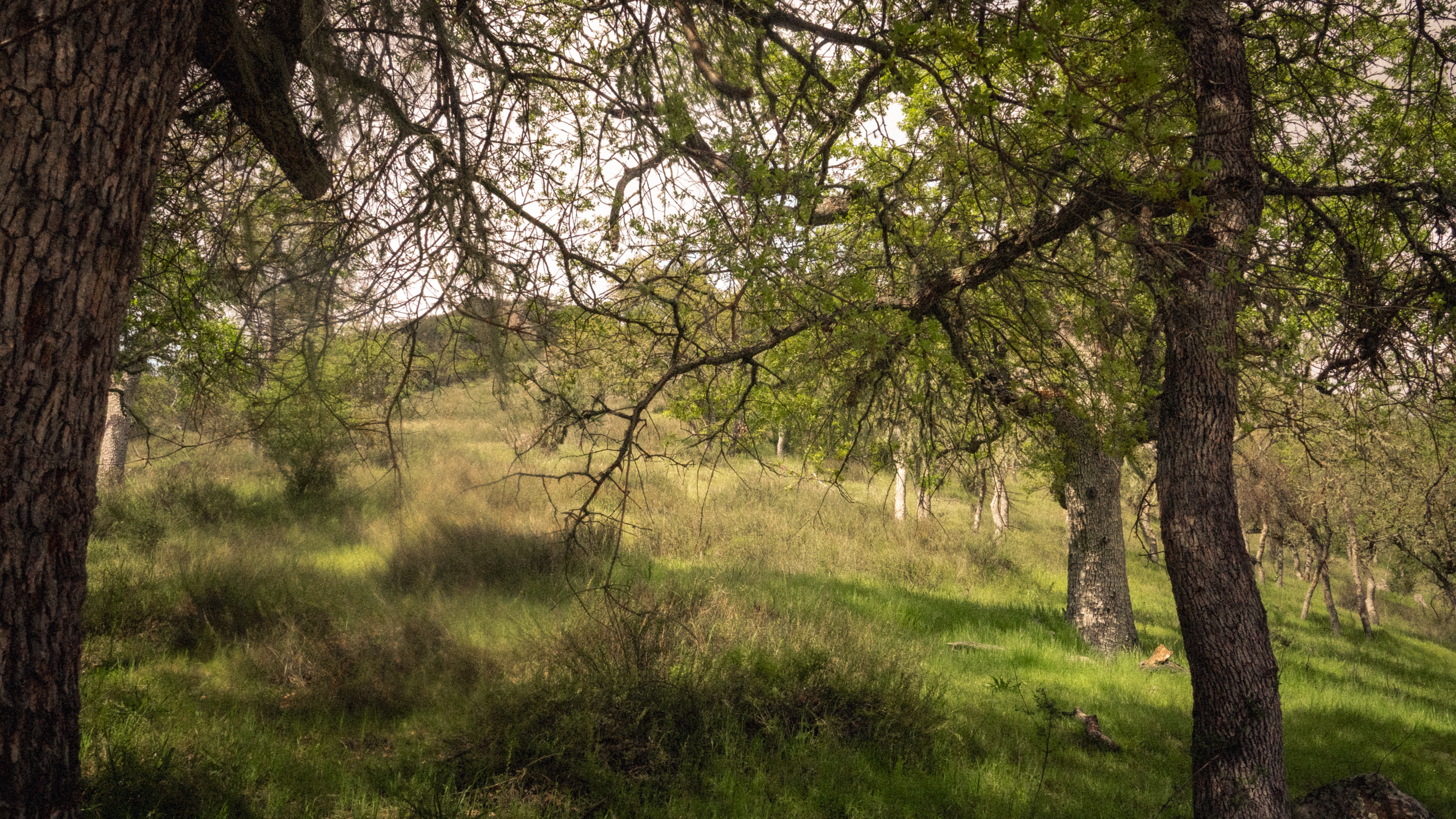 Pinnacle photography