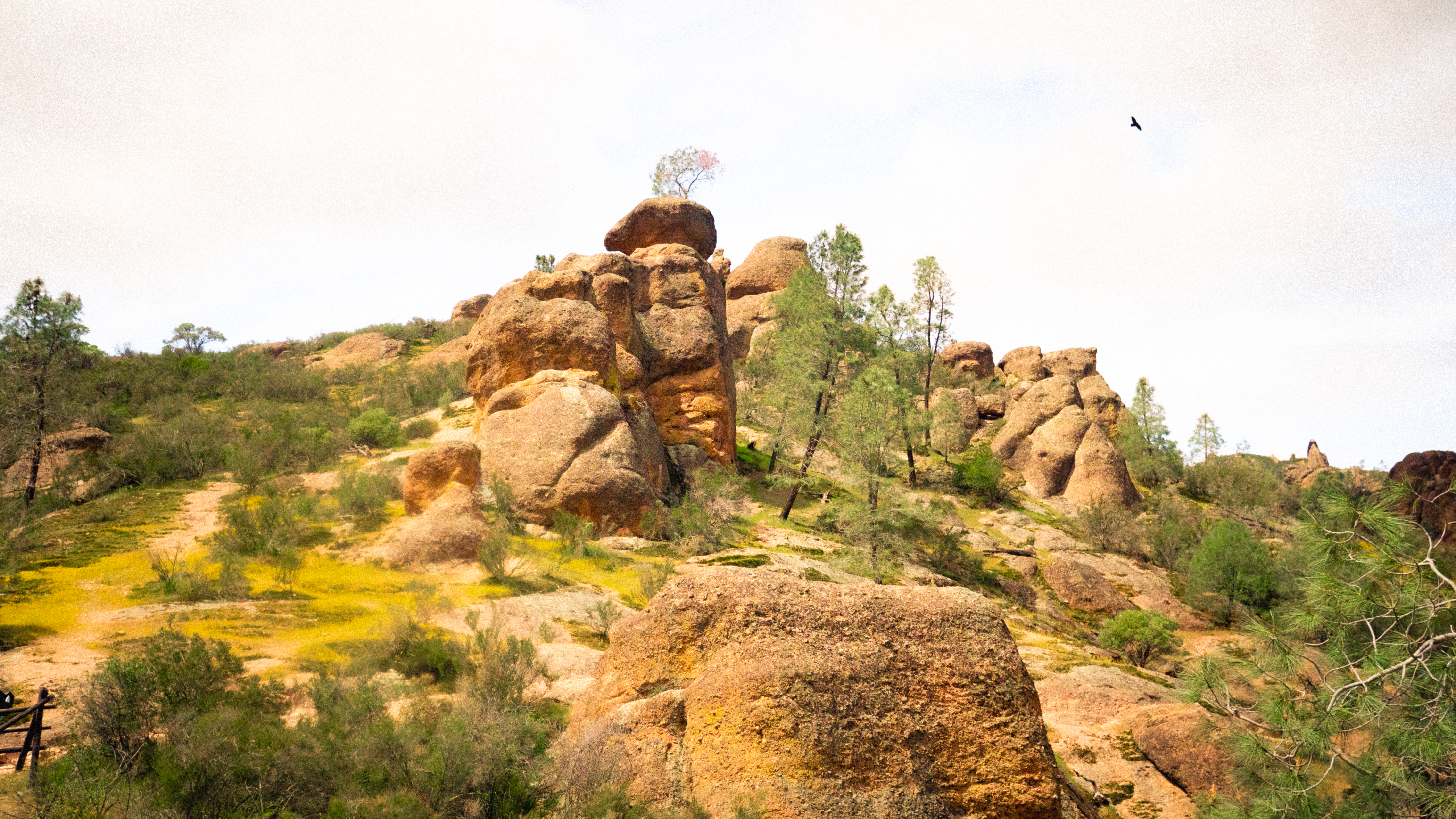 Pinnacle photography