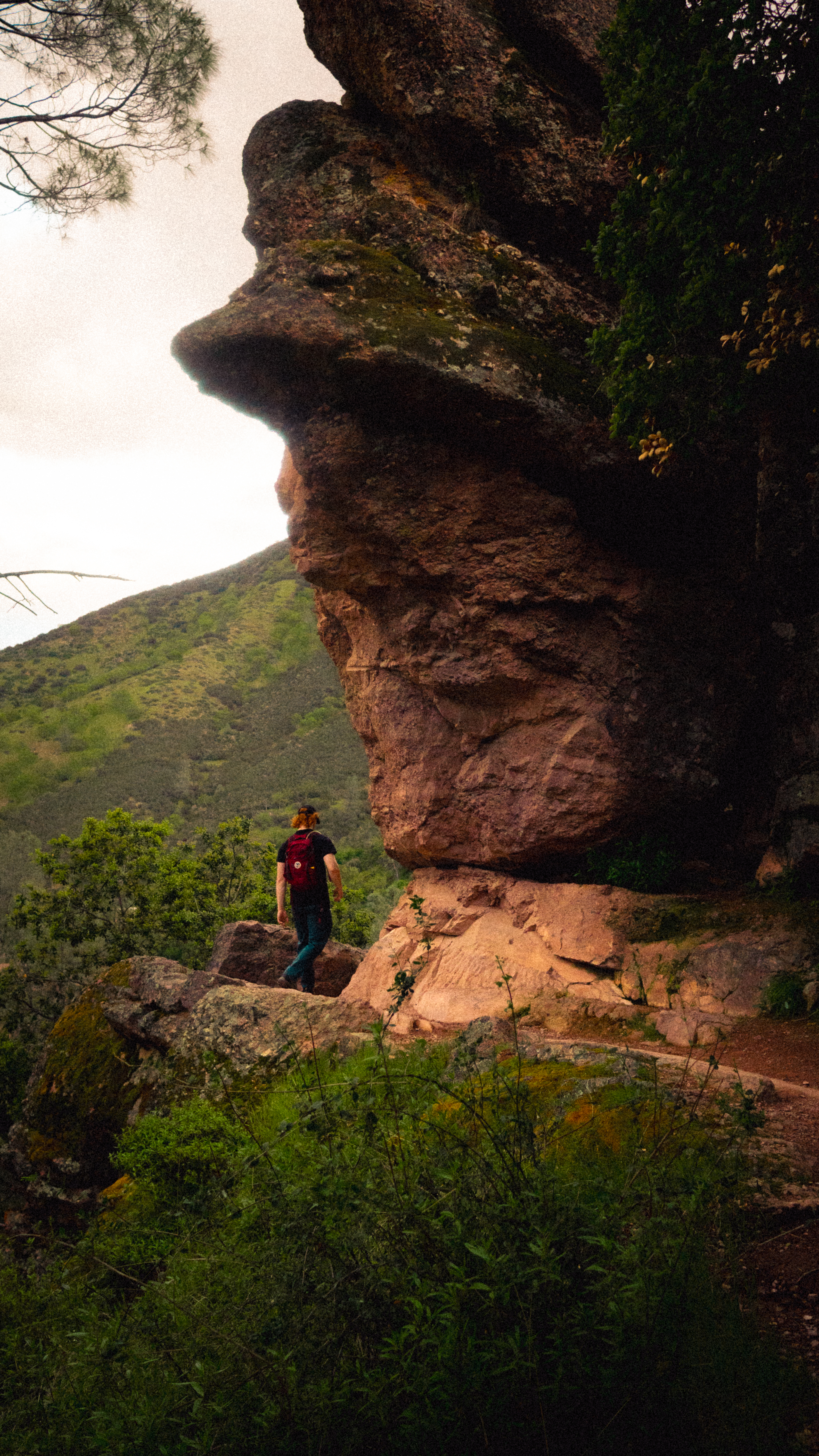 Pinnacle photography