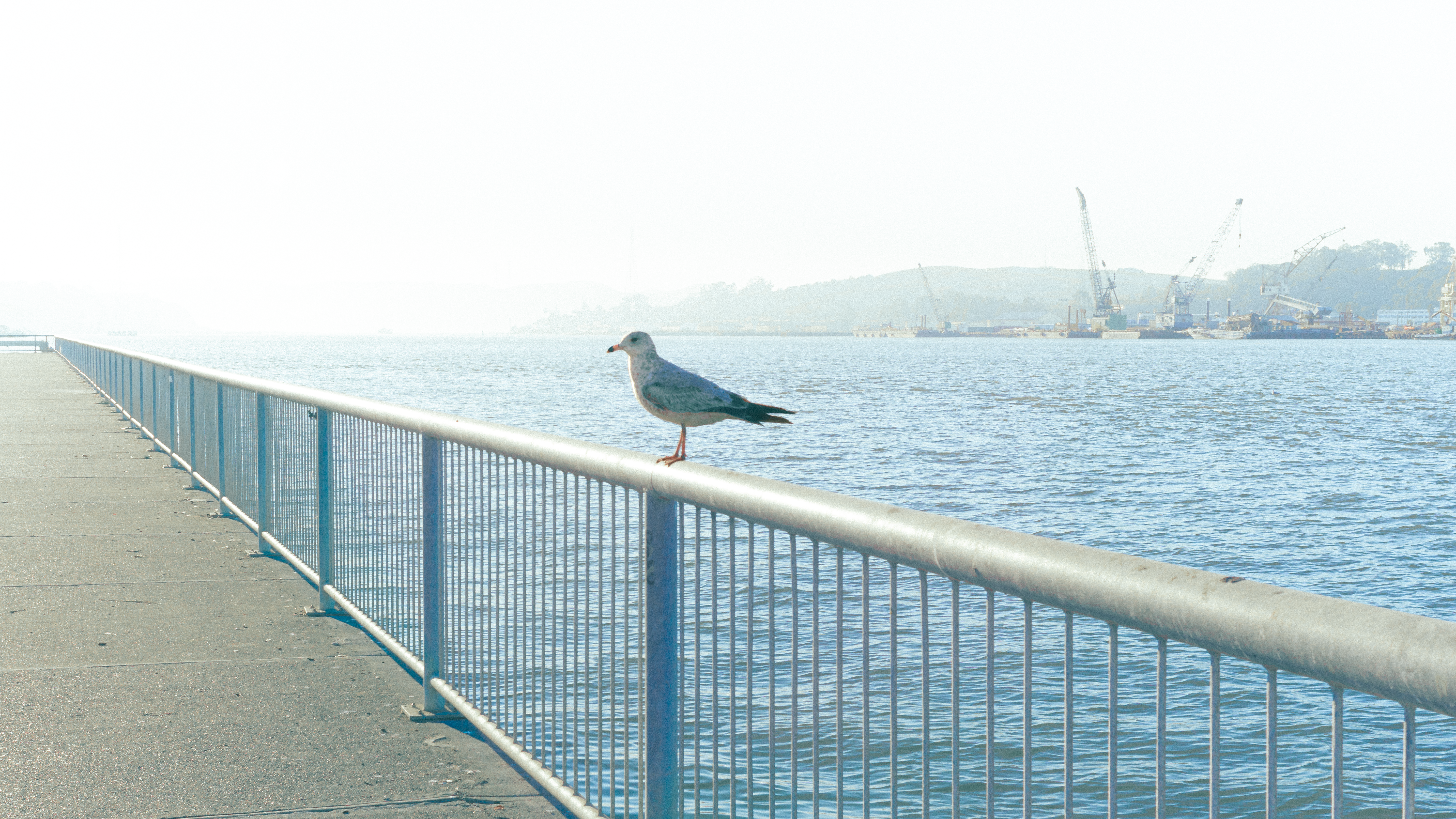San Francisco II photography