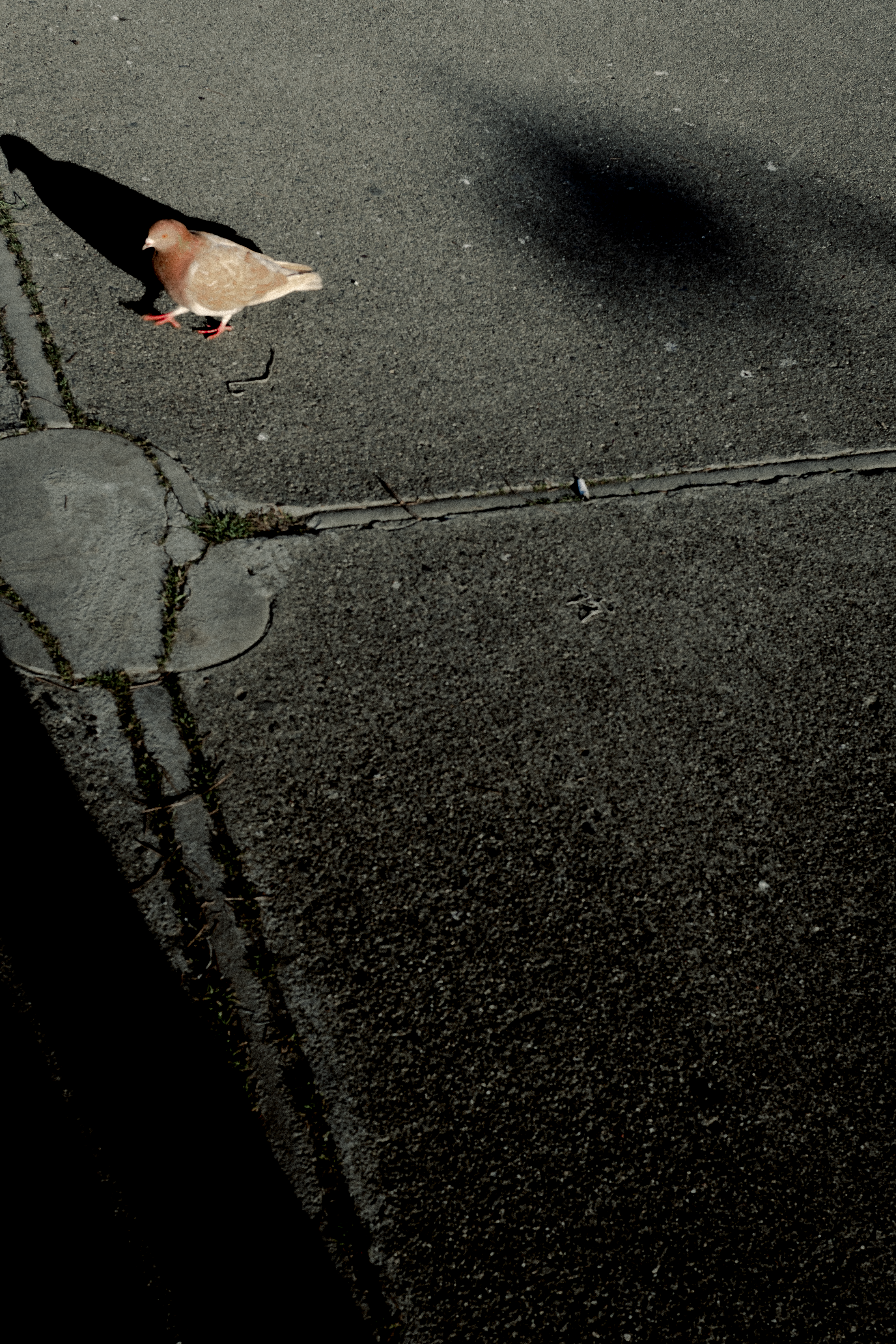 San Francisco II photography
