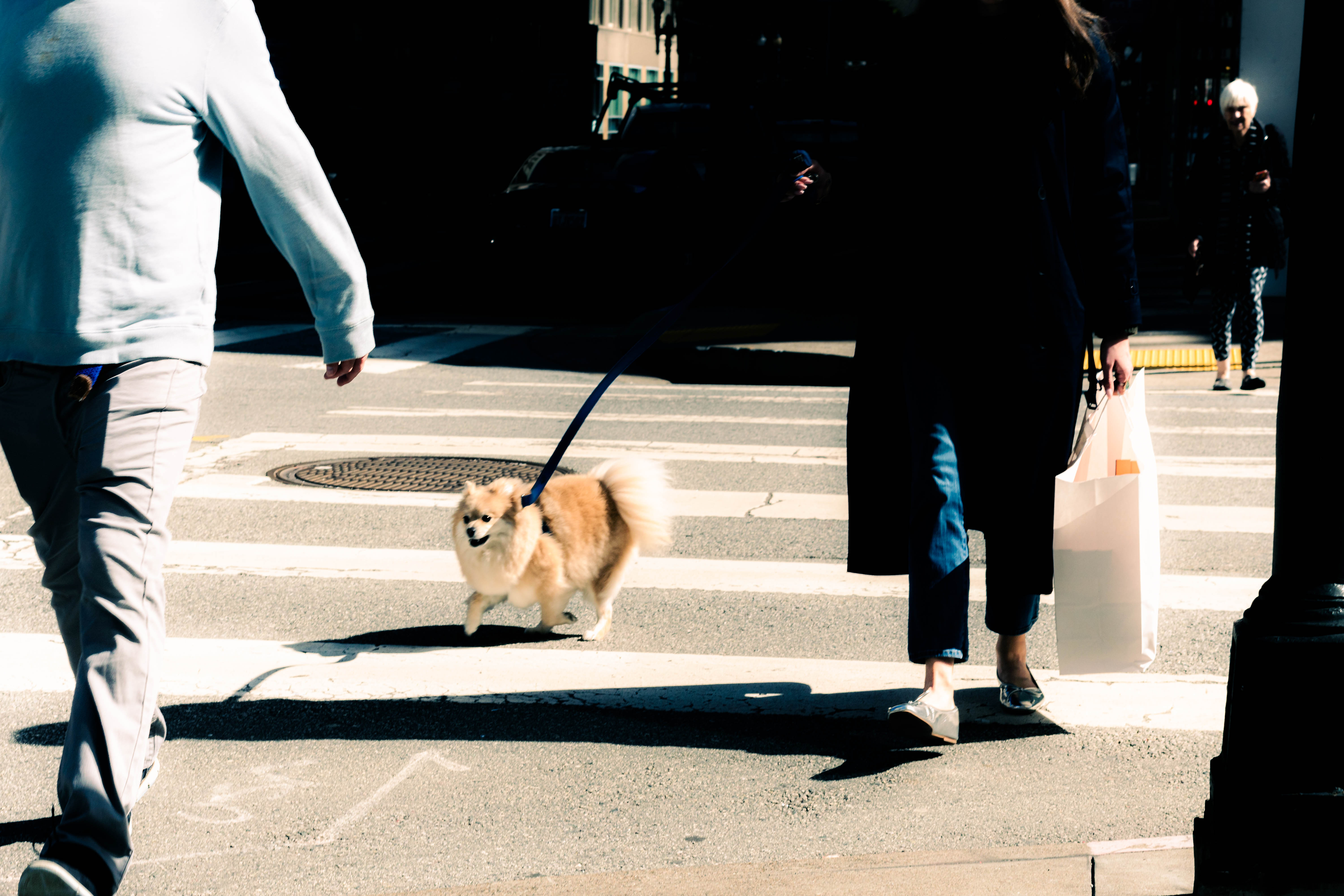 San Francisco III photography