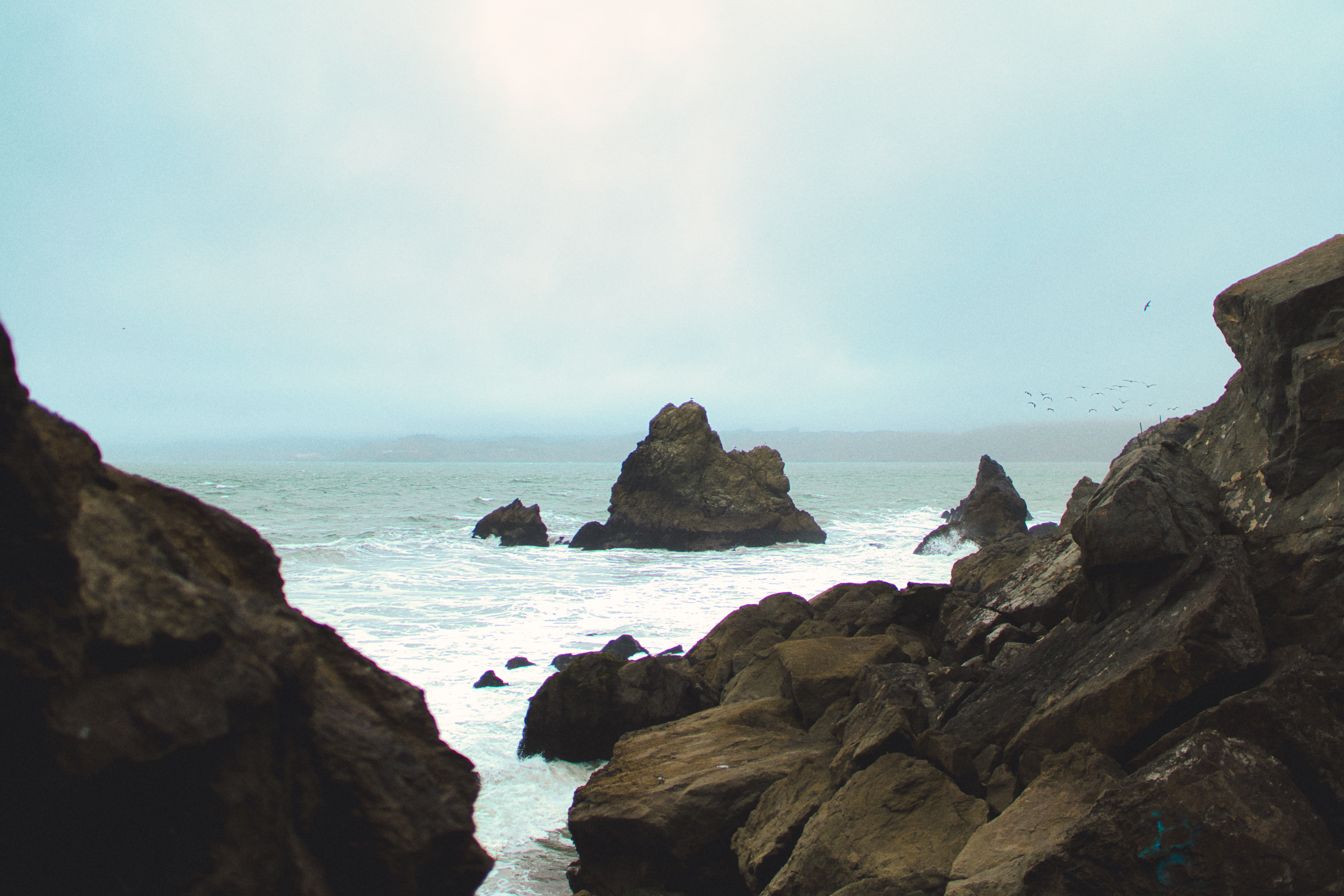 San Francisco IV photography