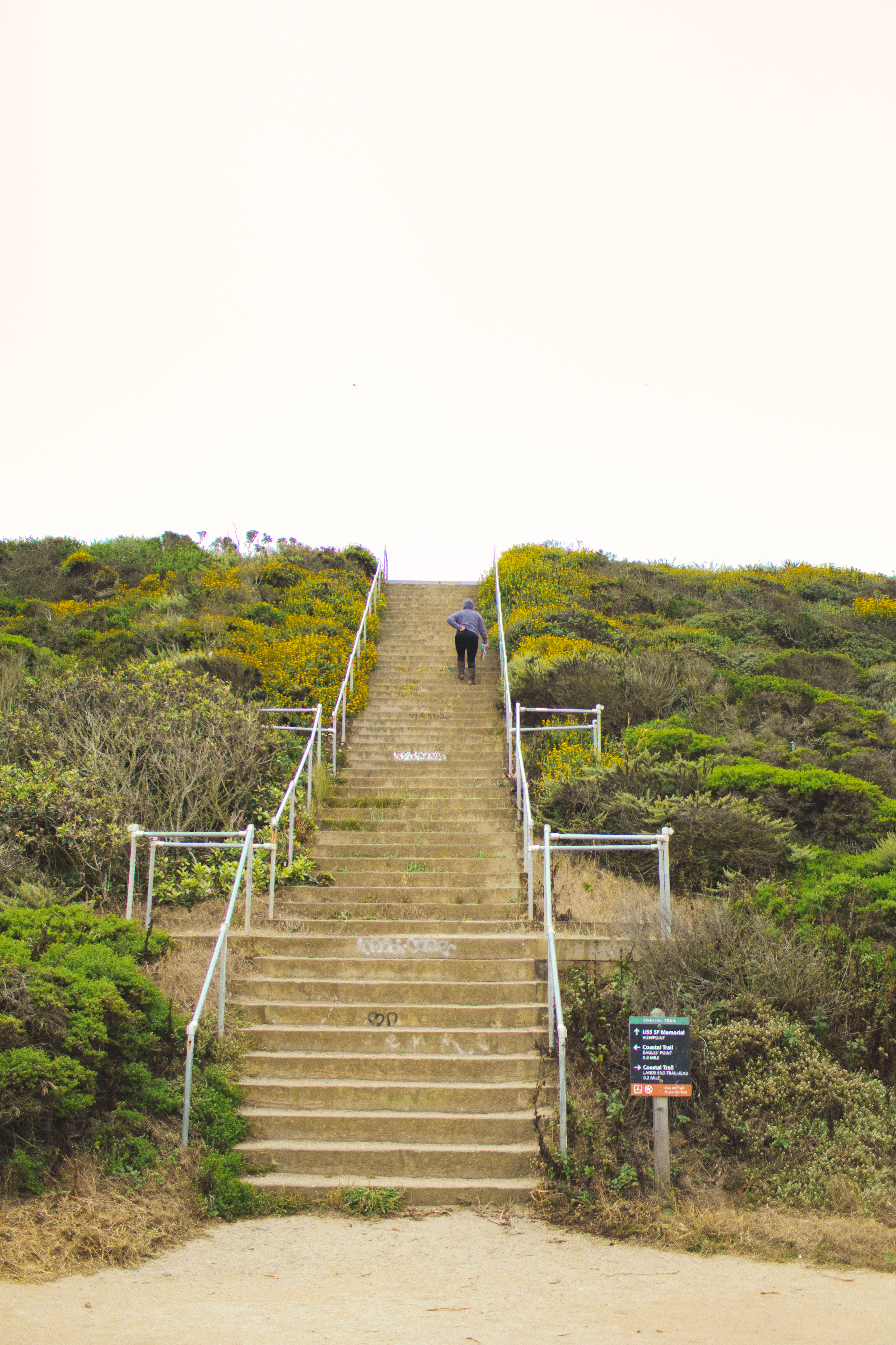 San Francisco IV photography