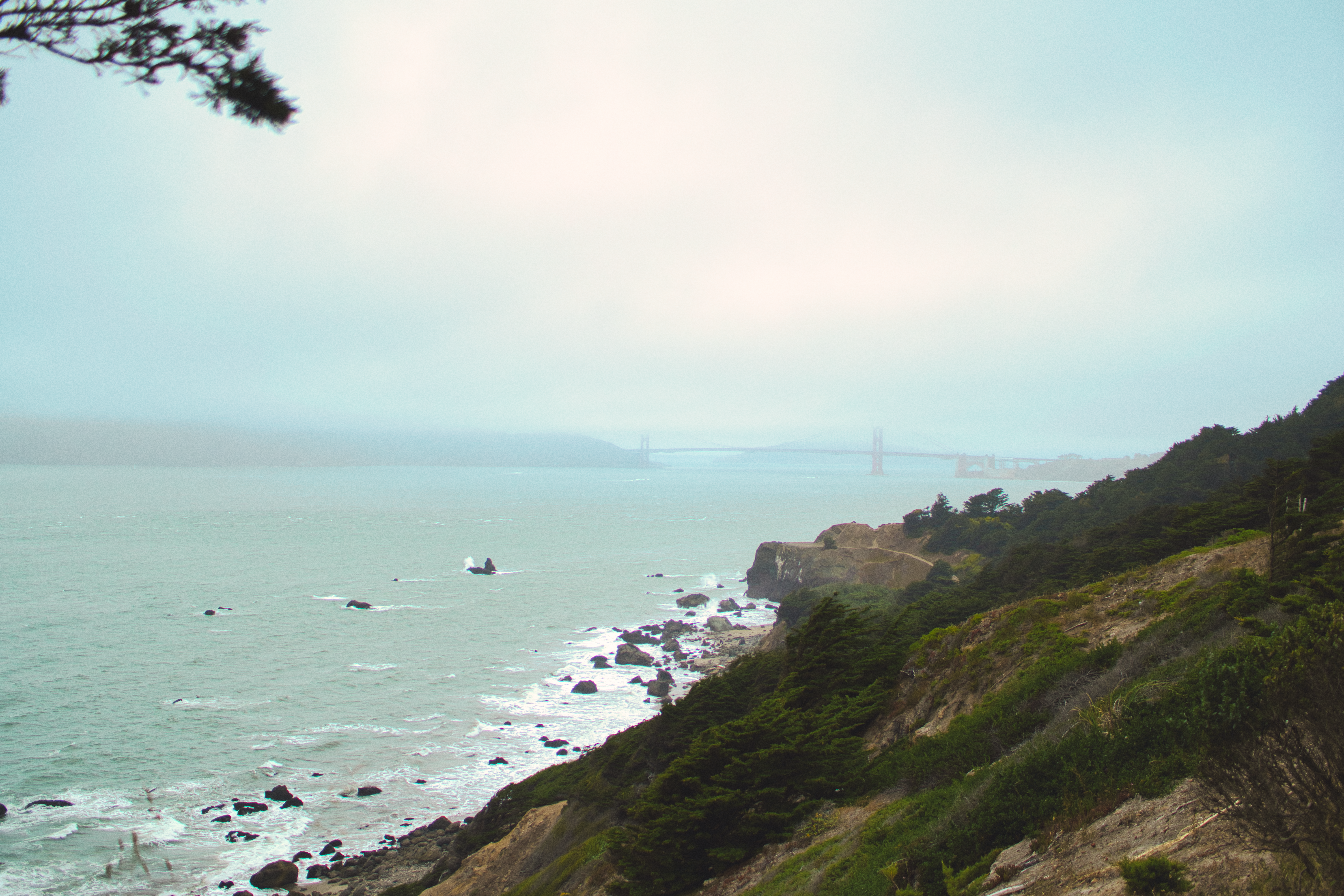 San Francisco IV photography