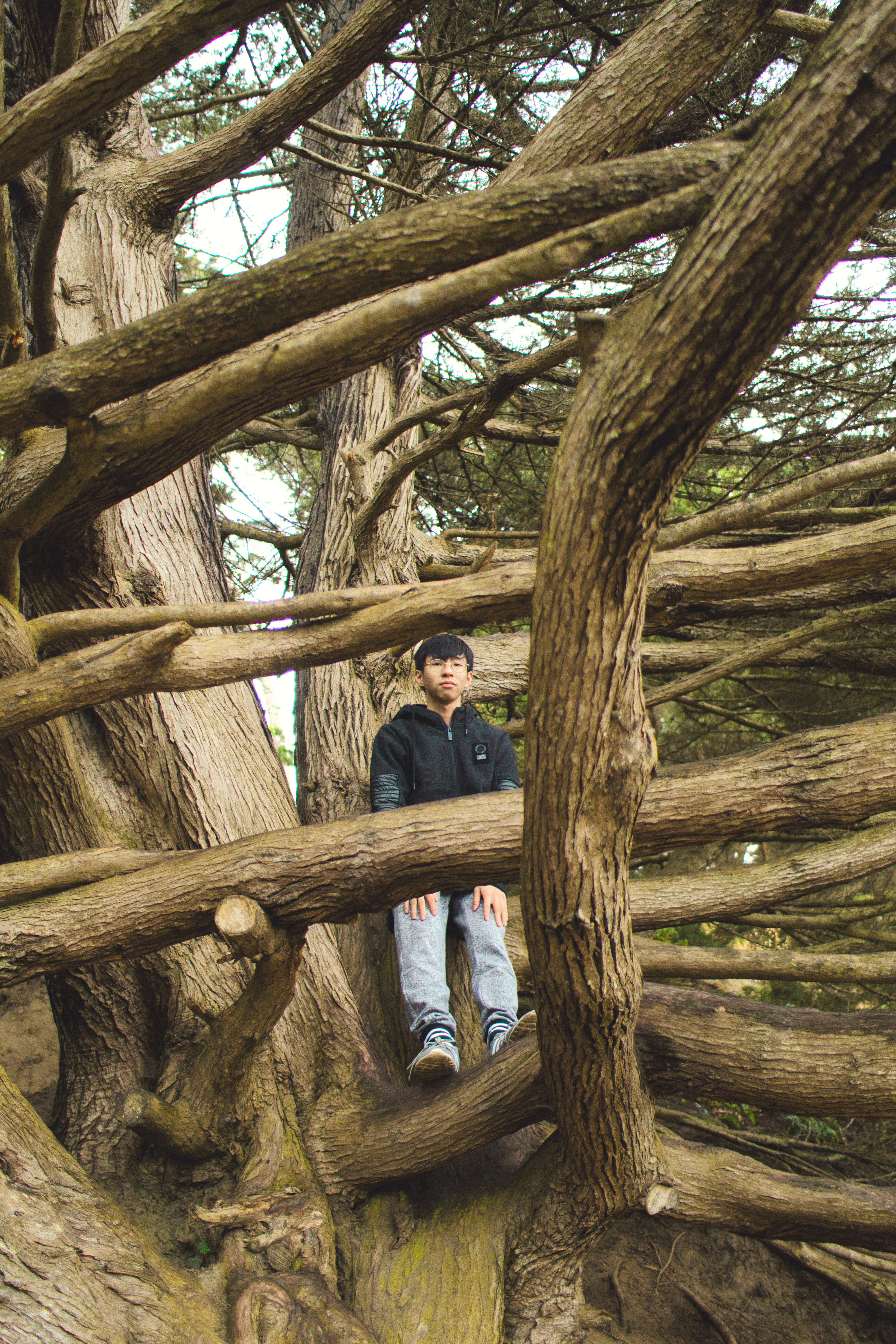 San Francisco IV photography