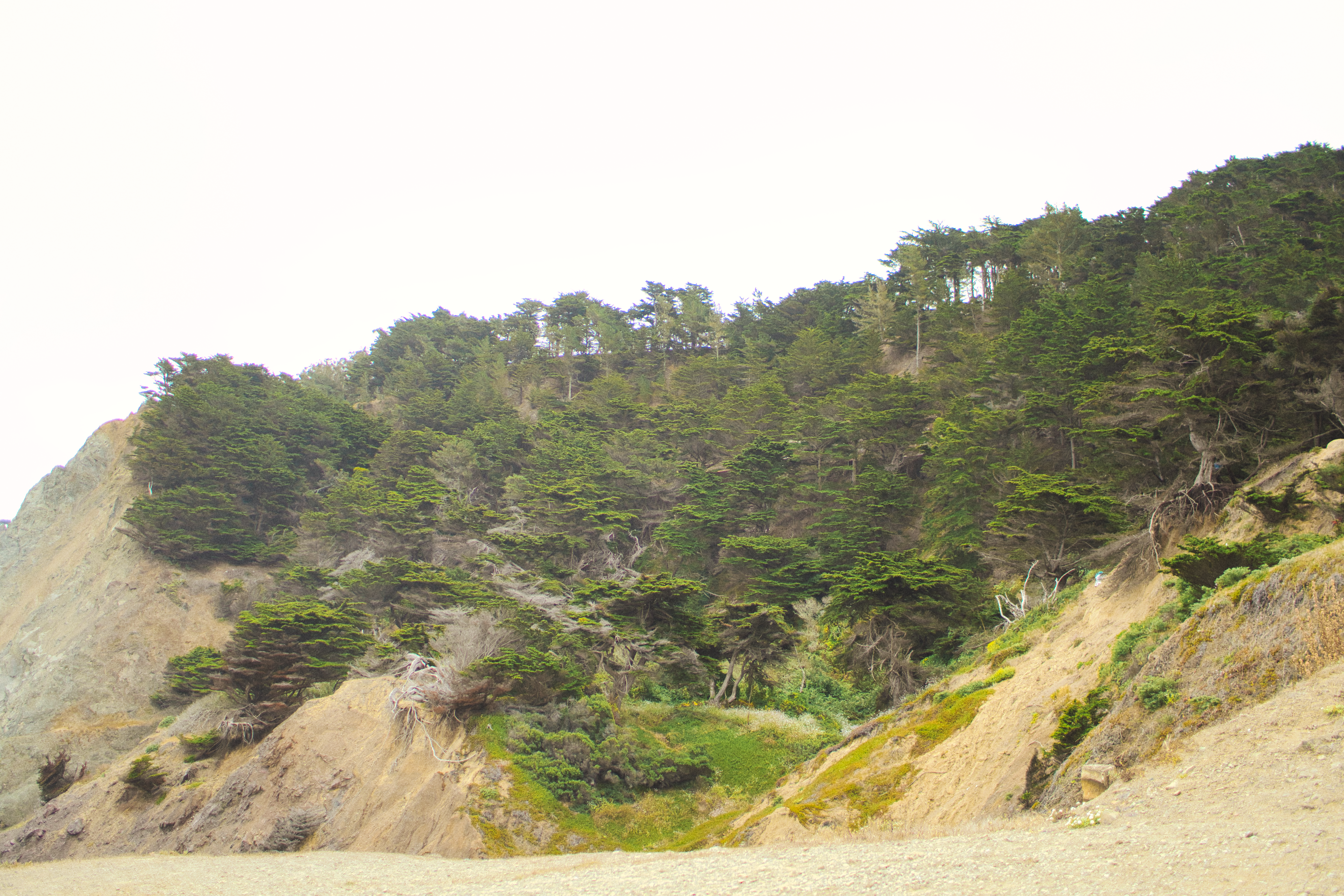 San Francisco IV photography
