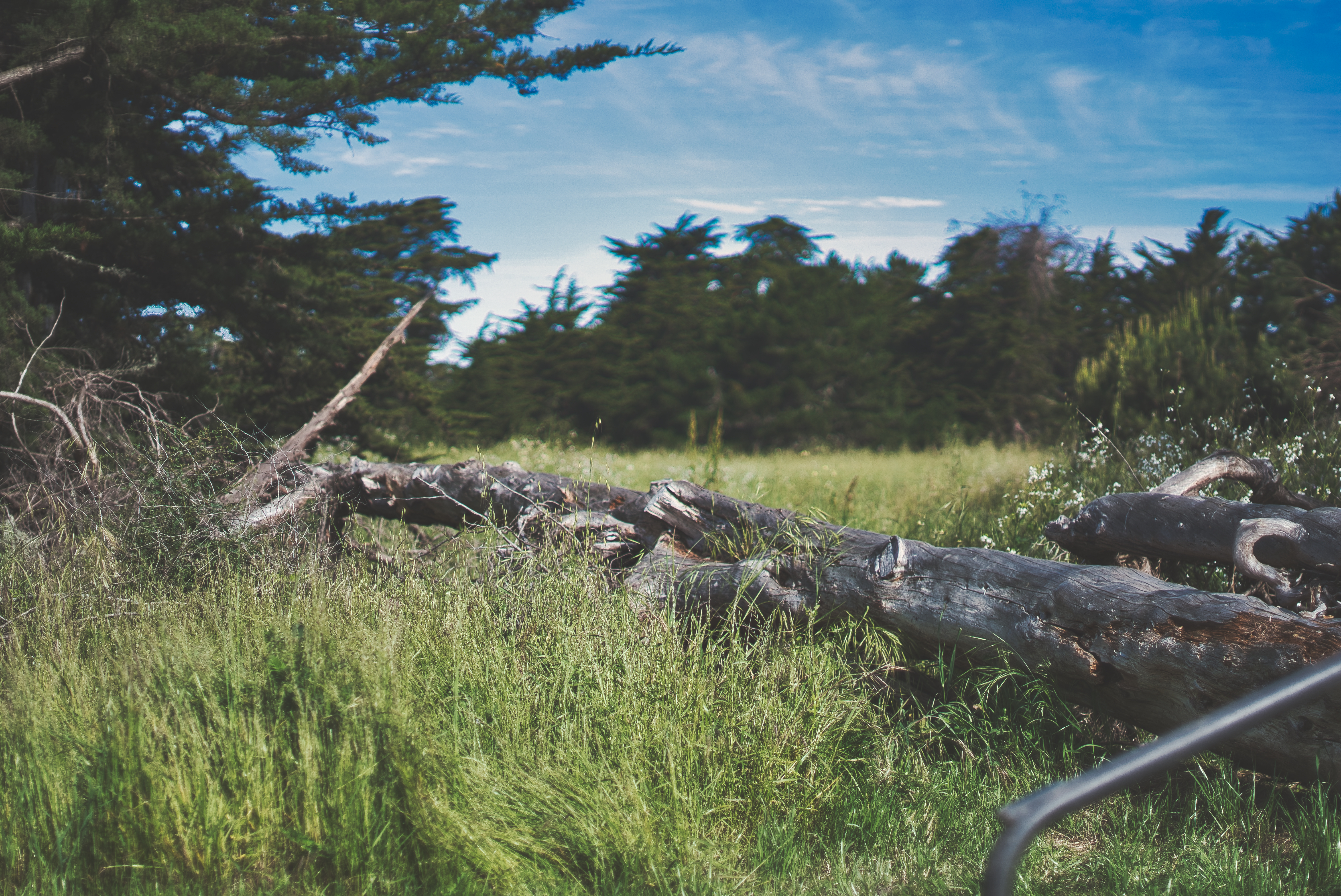 Santa Cruz photography
