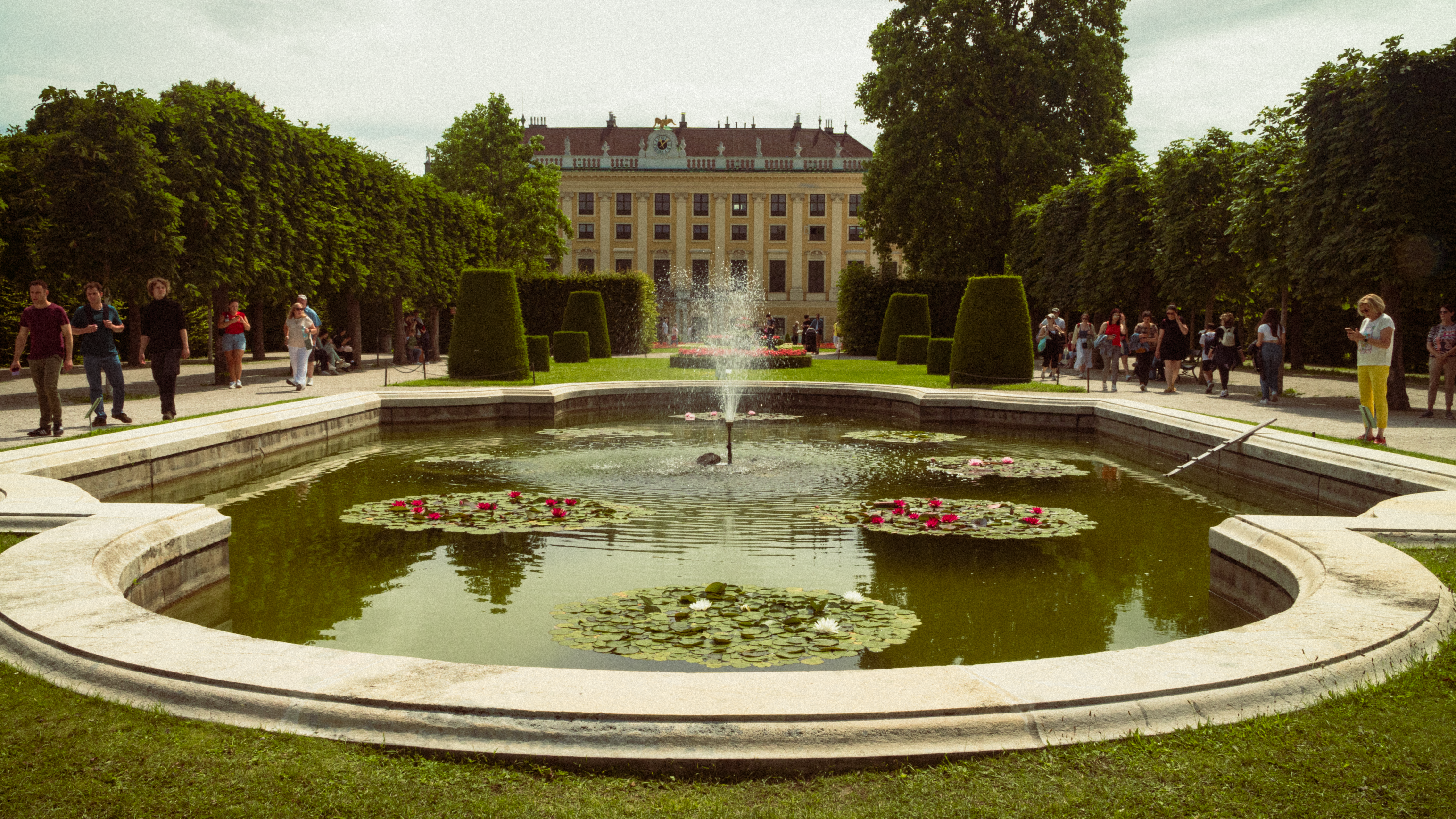 Vienna photography