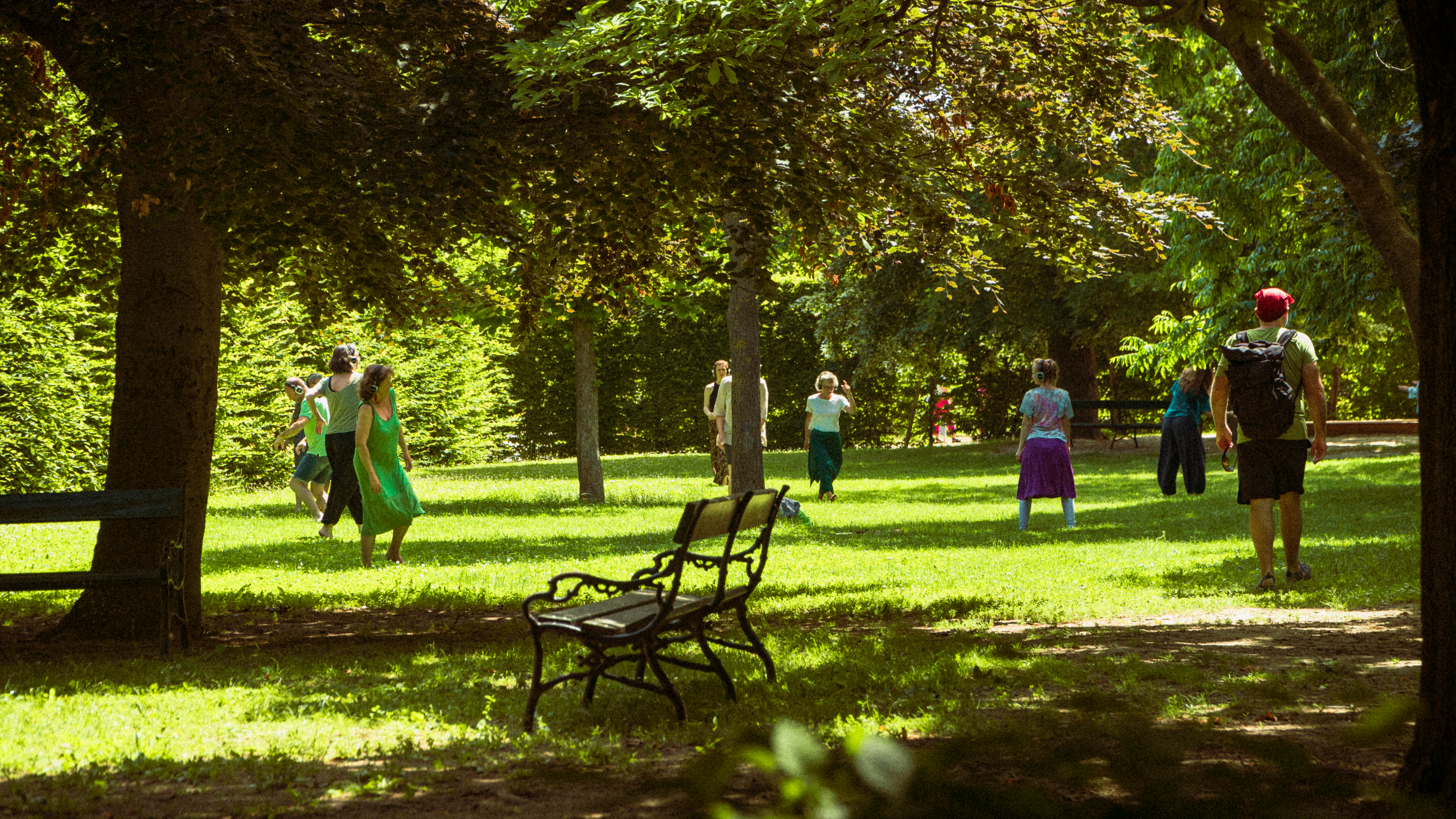 Vienna photography